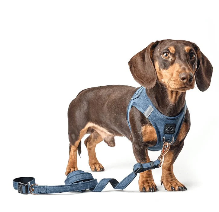 SoHo Dog Harness - Denim - Image 5