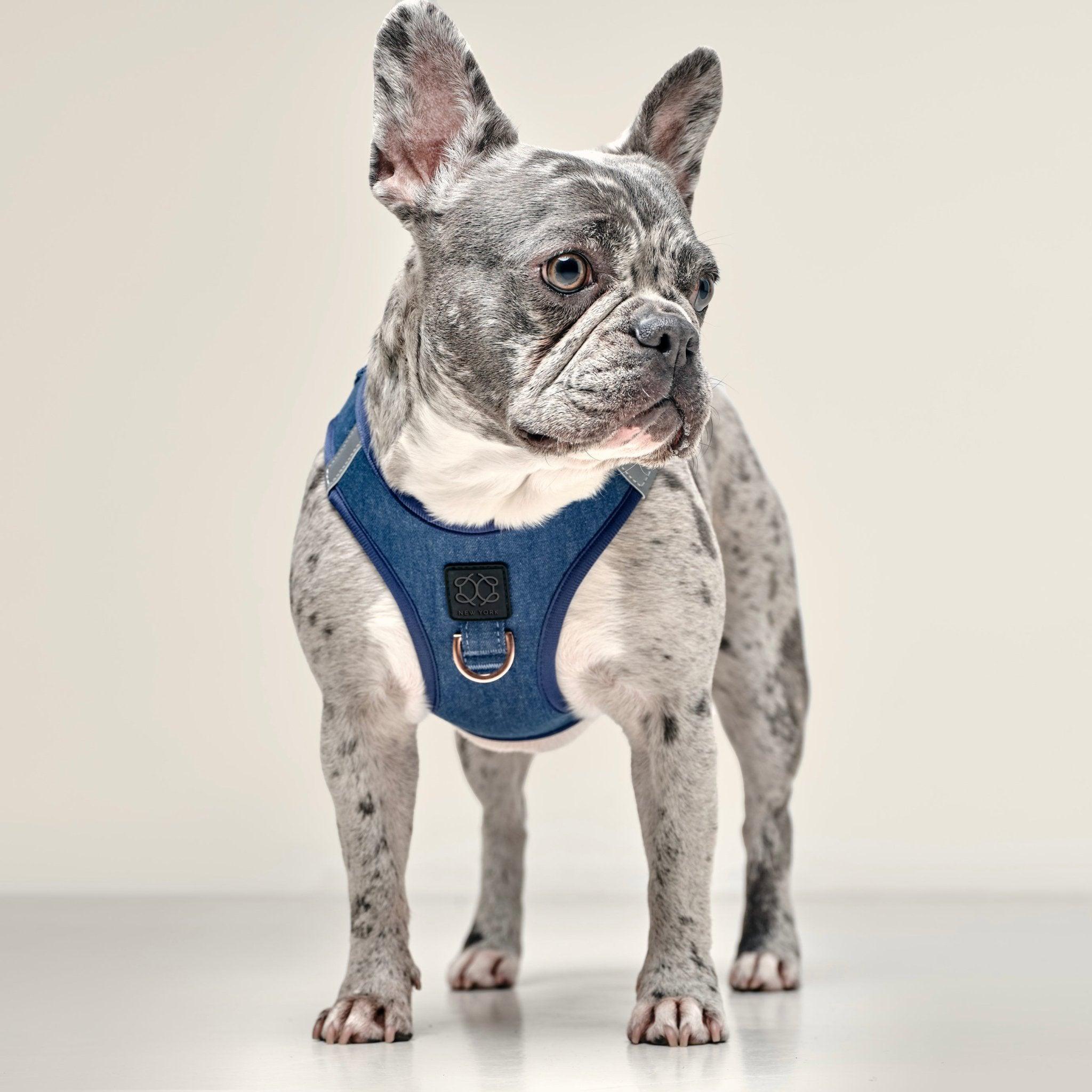 SoHo Dog Harness - Denim - Image 8