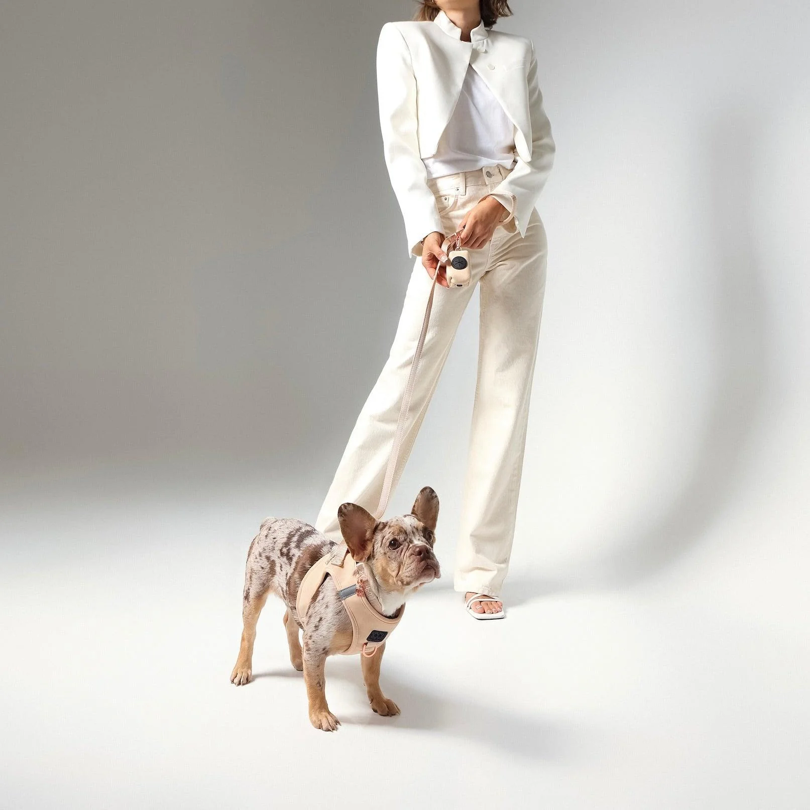 SoHo Dog Harness - Dune - Image 4