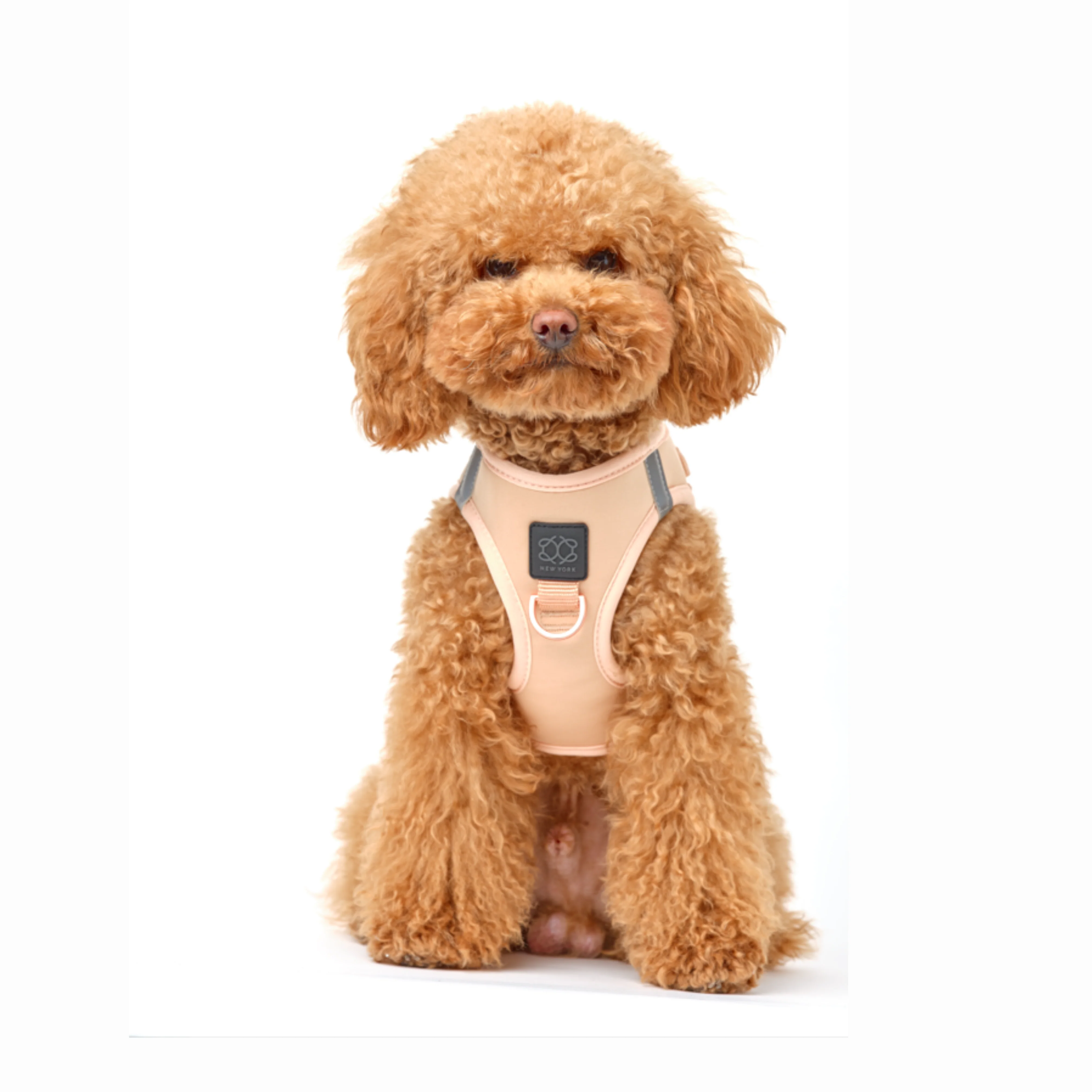 SoHo Dog Harness - Dune - Image 7