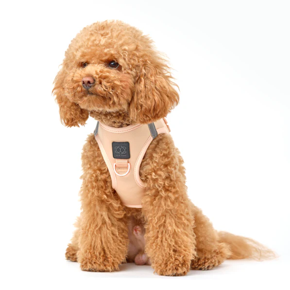 SoHo Dog Harness - Dune - Image 8