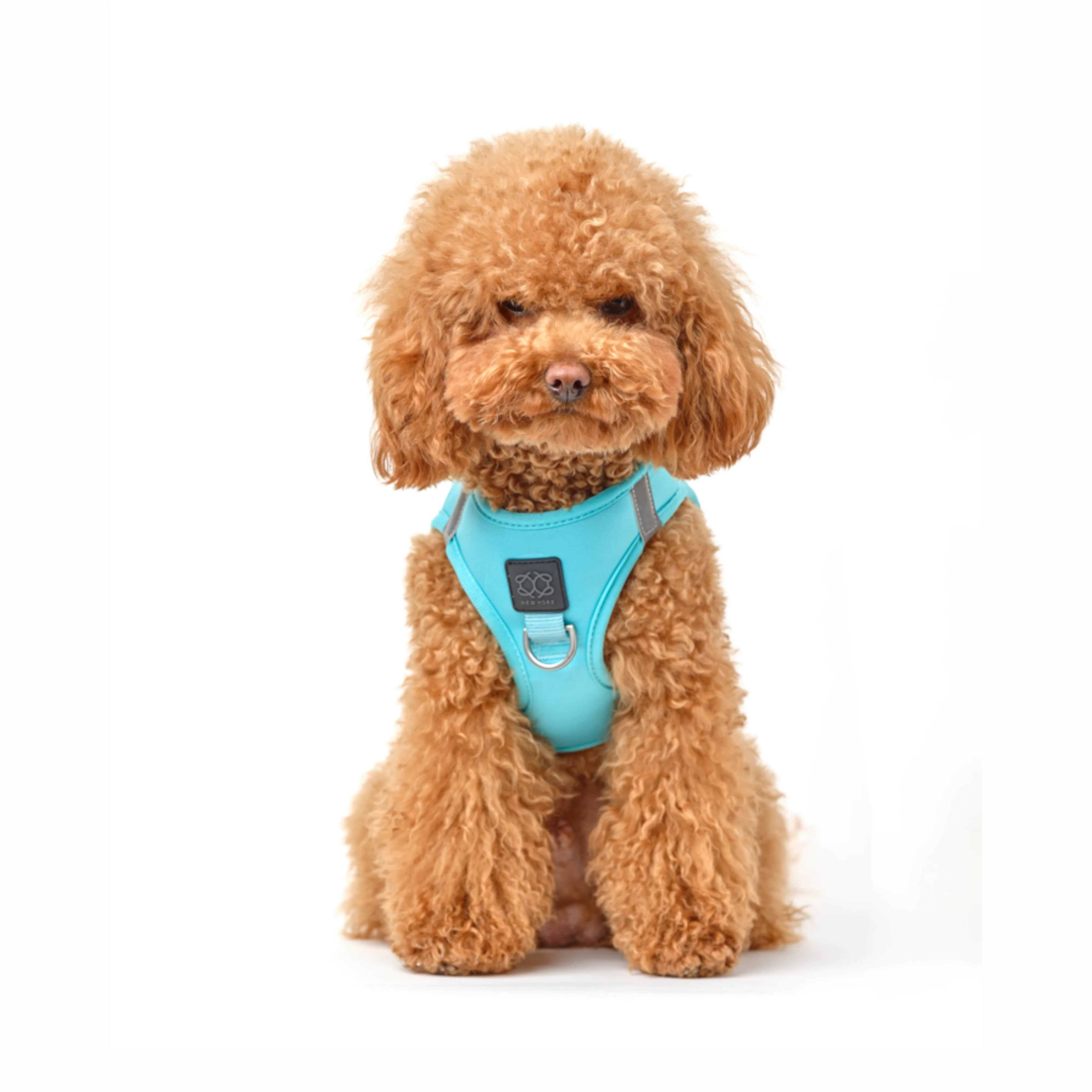 SoHo Dog Harness - Fifth Avenue - Image 2