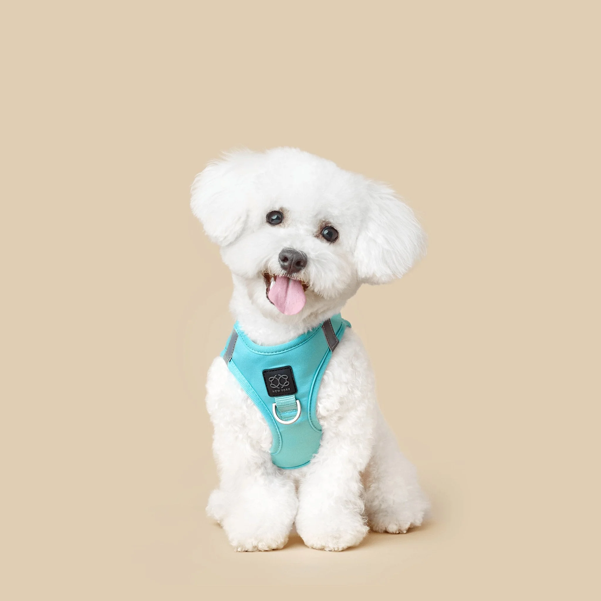 SoHo Dog Harness - Fifth Avenue - Image 5