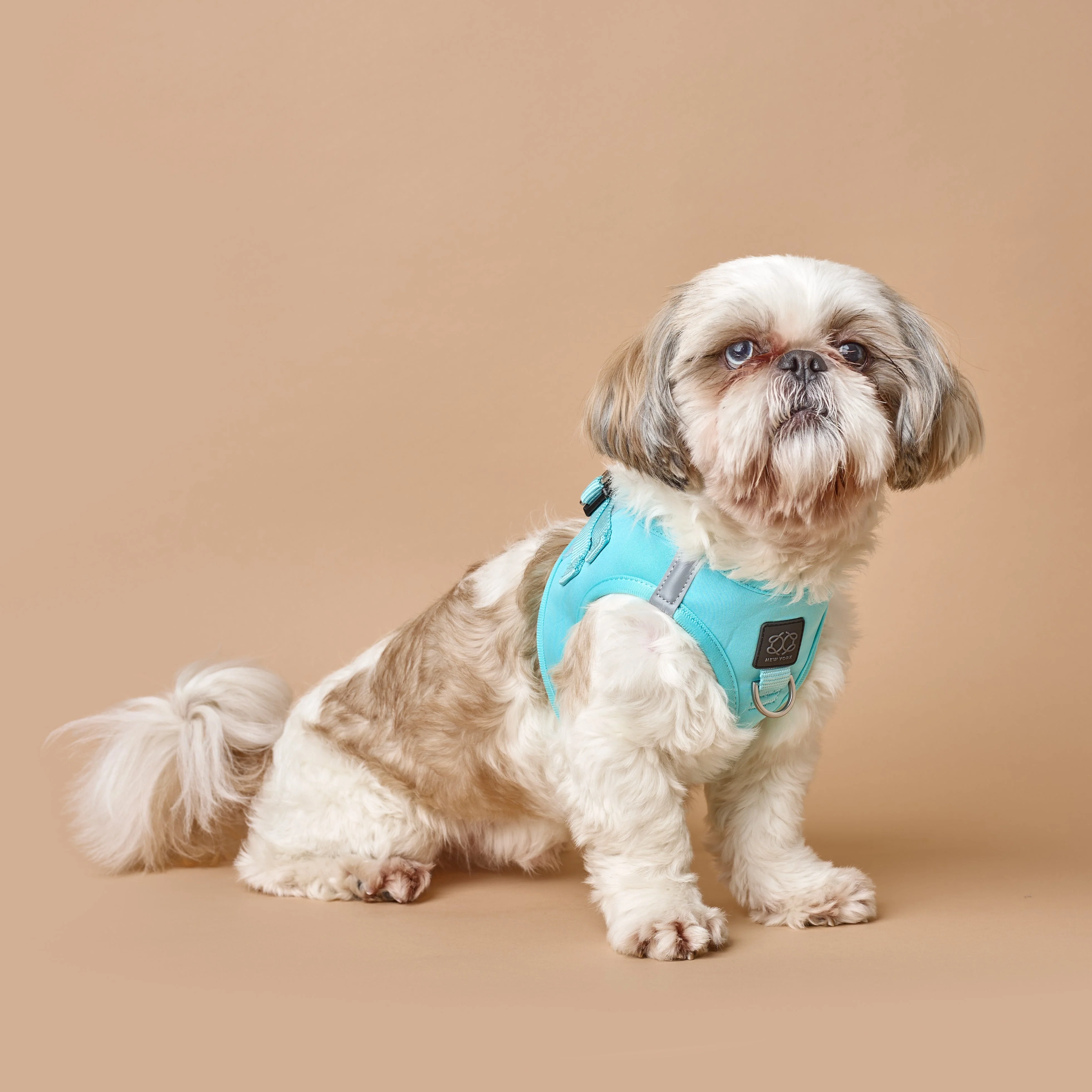 SoHo Dog Harness - Fifth Avenue - Image 6
