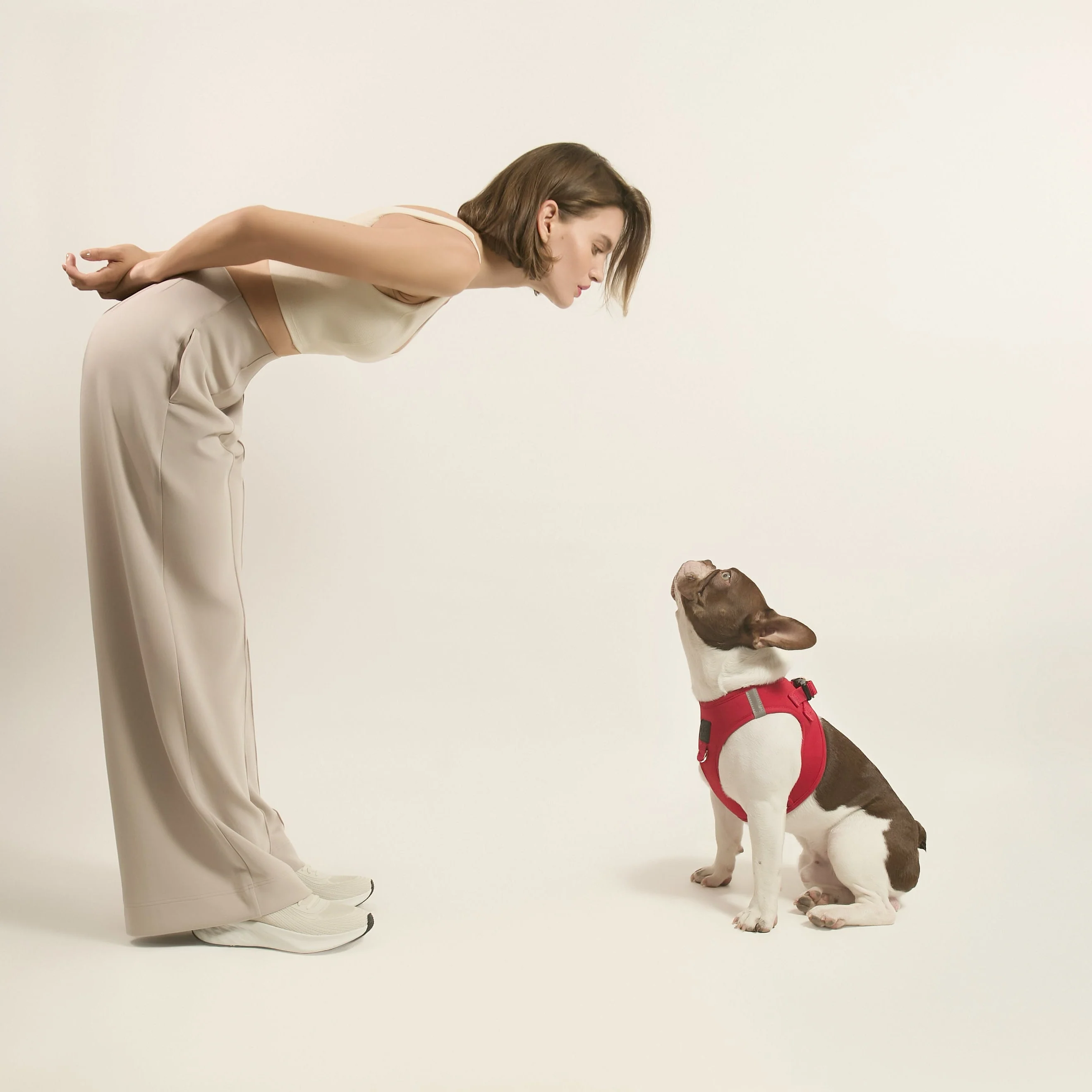 SoHo Dog Harness - Iconic Red - Image 2