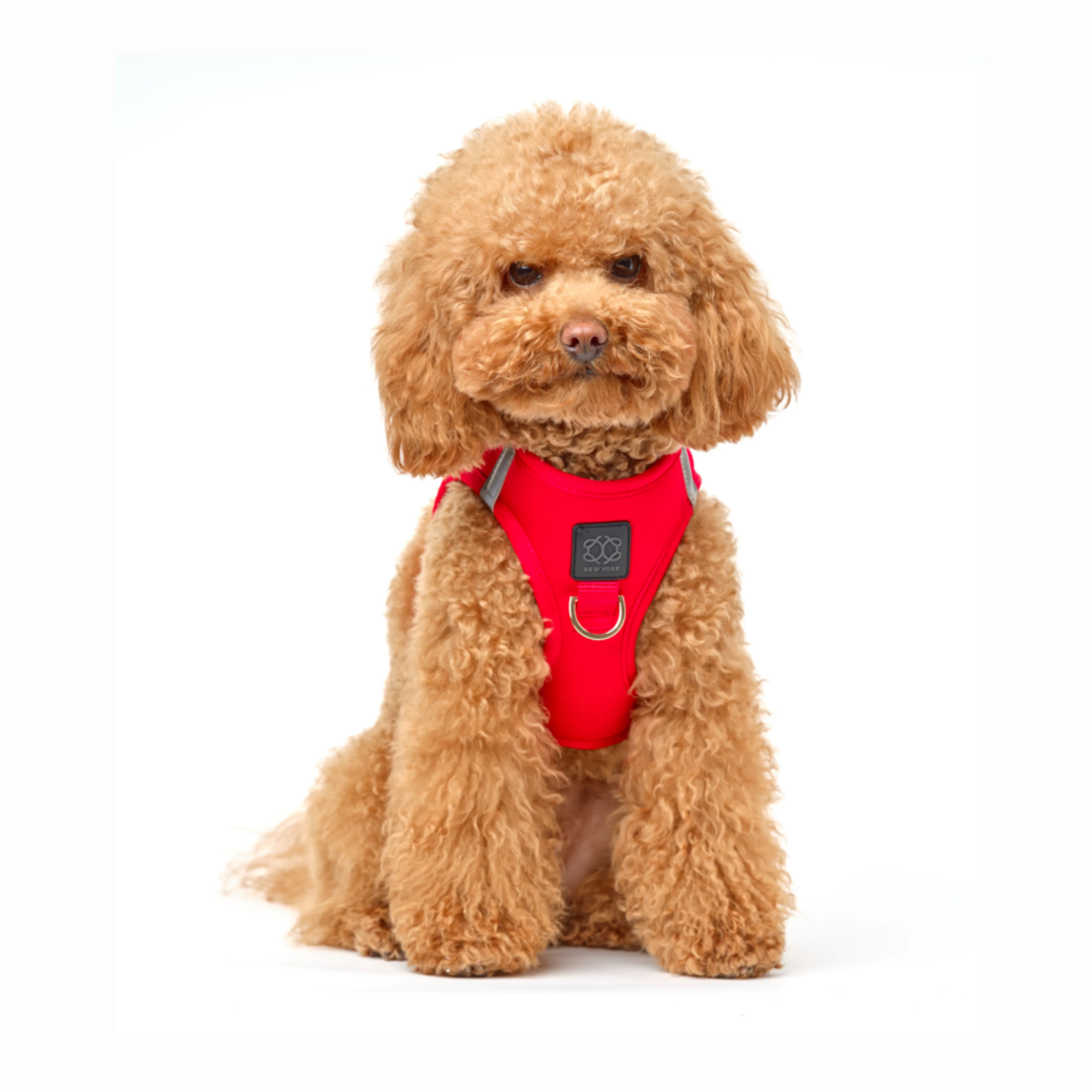 SoHo Dog Harness - Iconic Red - Image 3