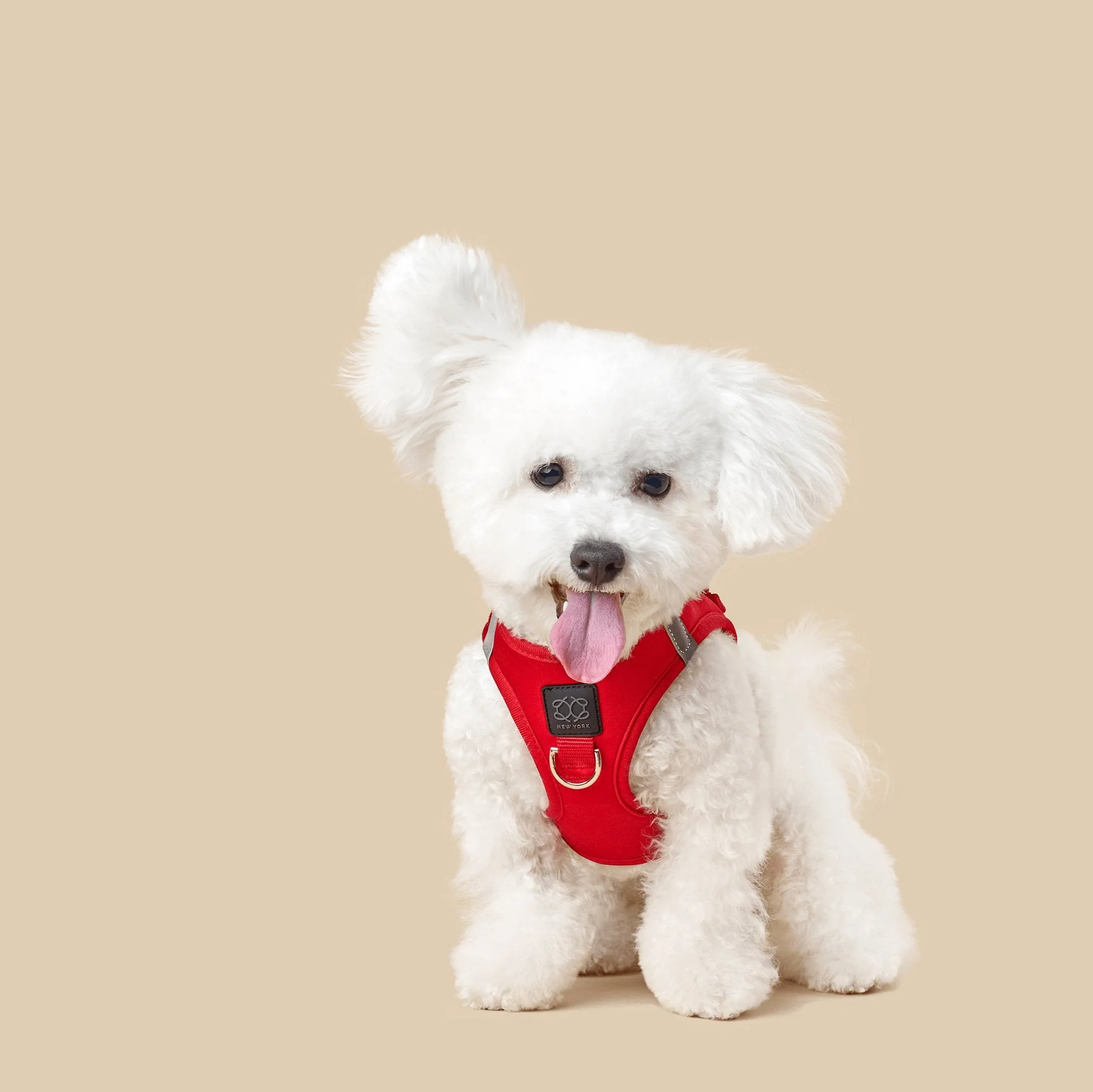 SoHo Dog Harness - Iconic Red - Image 5