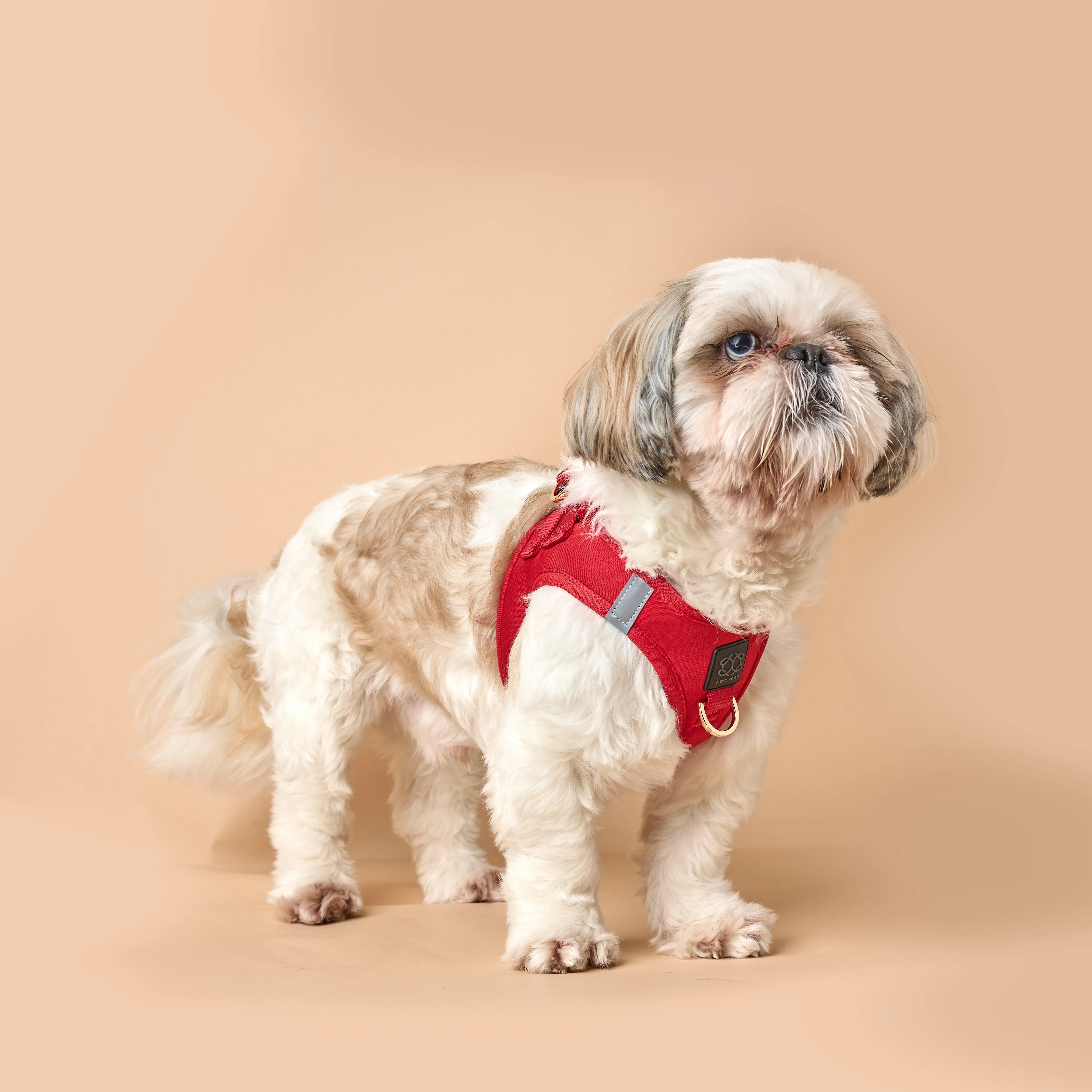 SoHo Dog Harness - Iconic Red - Image 7