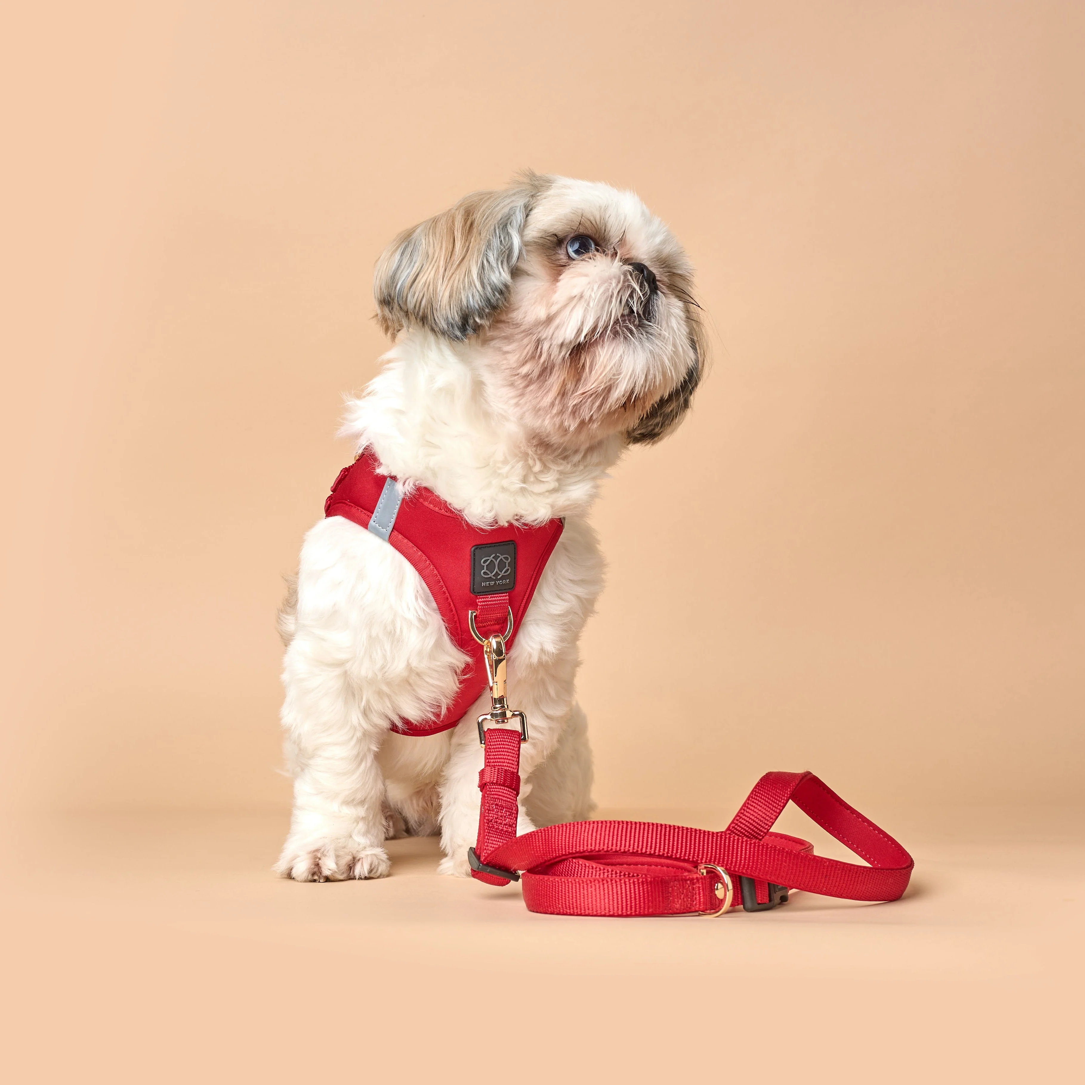 SoHo Dog Harness - Iconic Red - Image 8