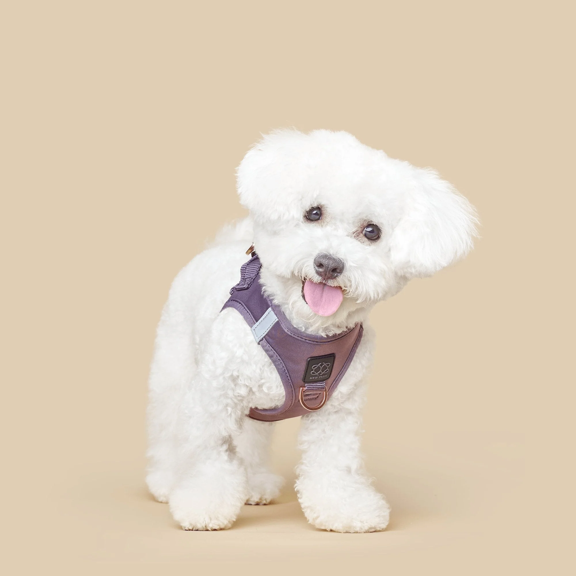 SoHo Dog Harness - Lilac Gray - Image 3