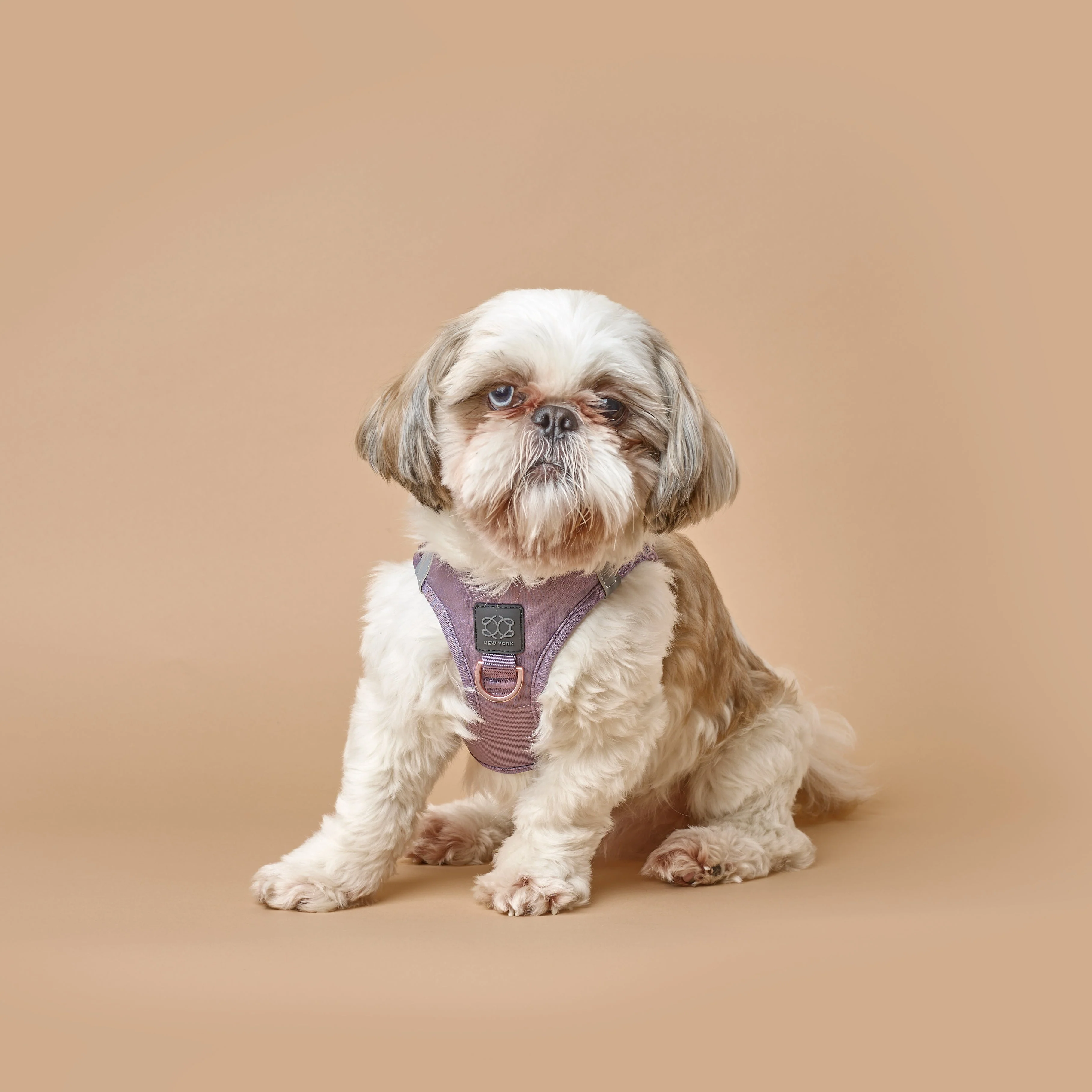 SoHo Dog Harness - Lilac Gray - Image 5
