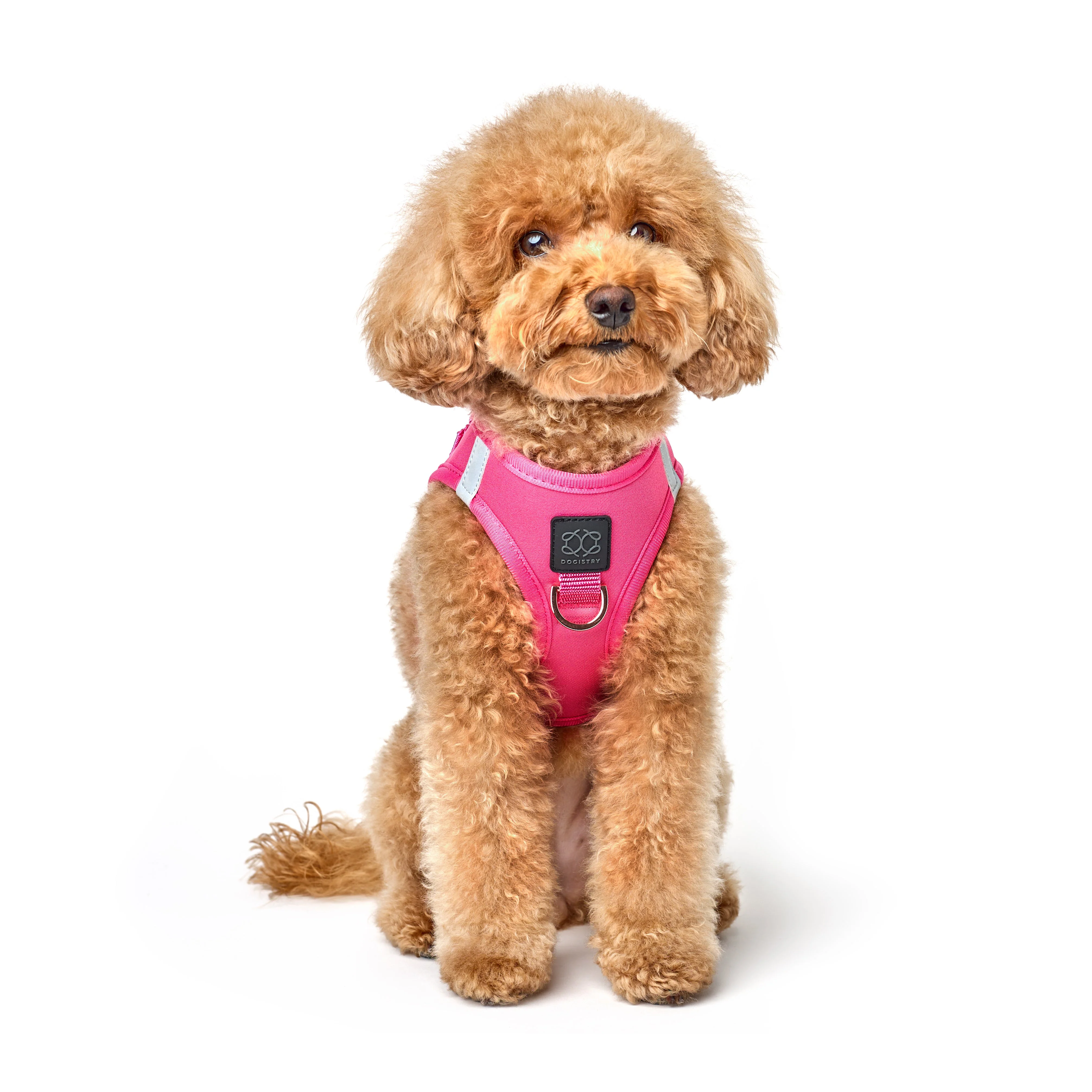 SoHo Dog Harness - Park Ave Pink - Image 2