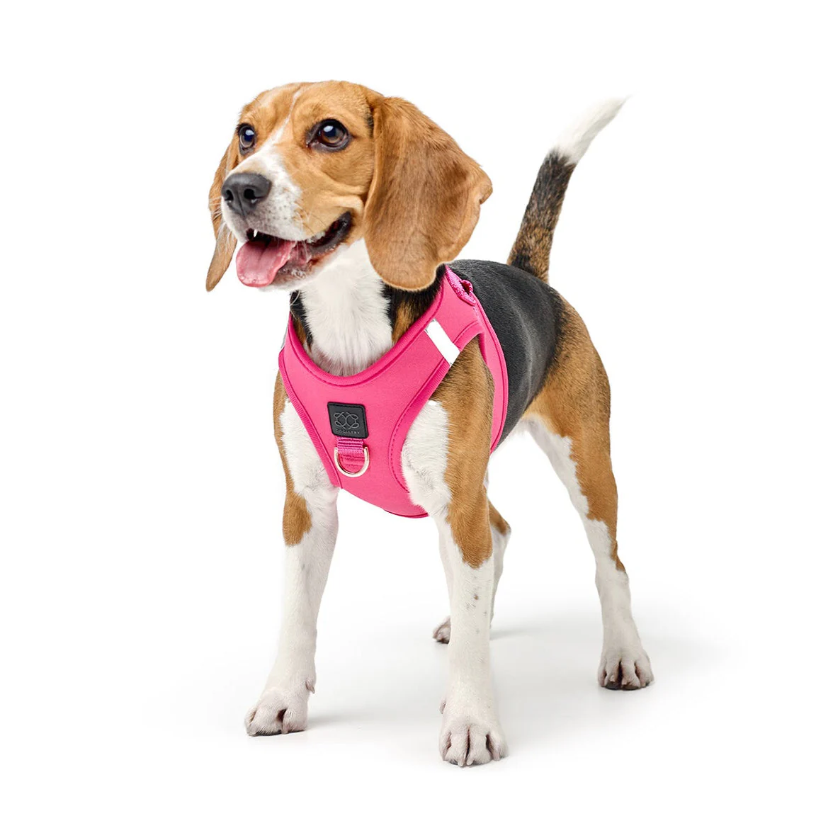 SoHo Dog Harness - Park Ave Pink - Image 4