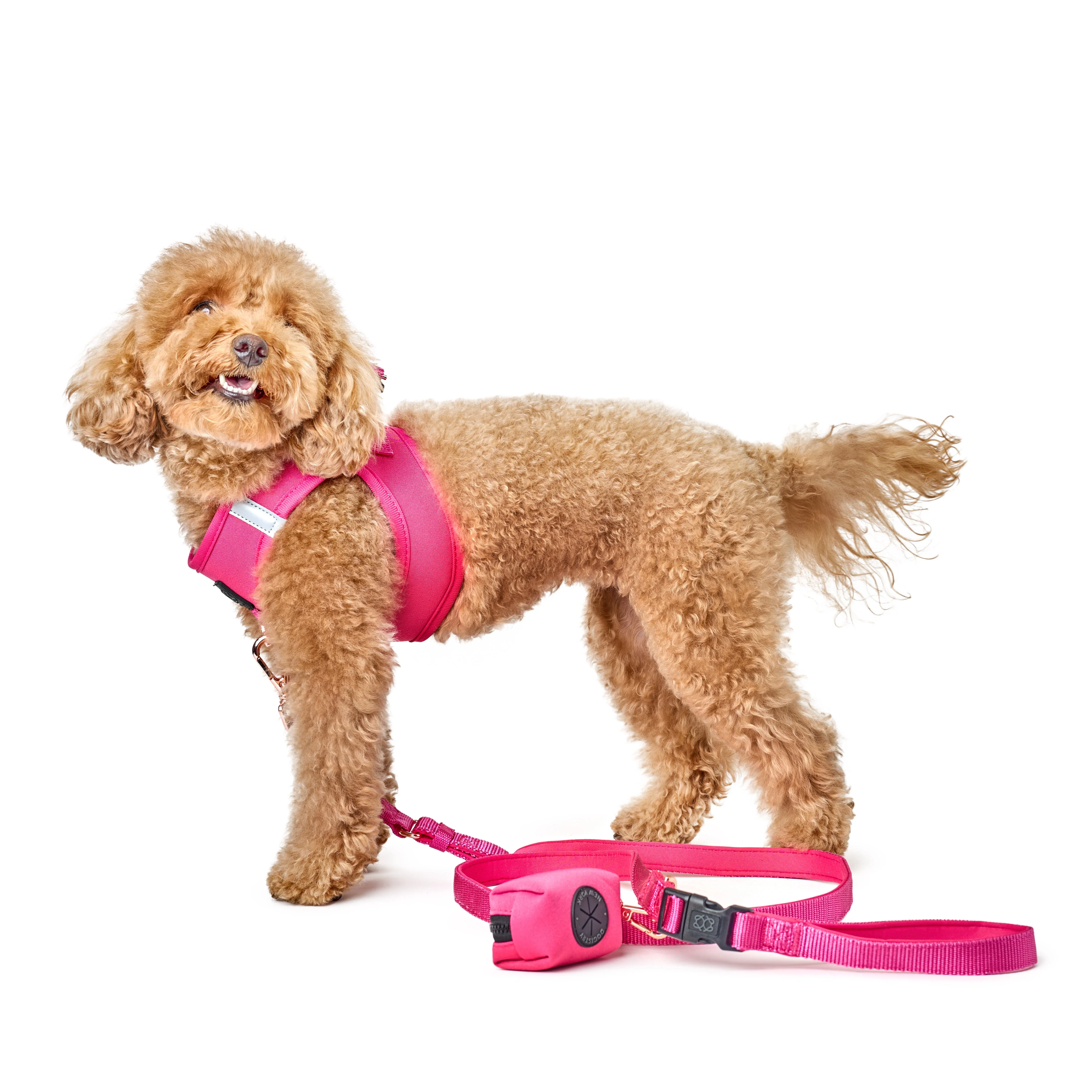 SoHo Dog Harness - Park Ave Pink - Image 5