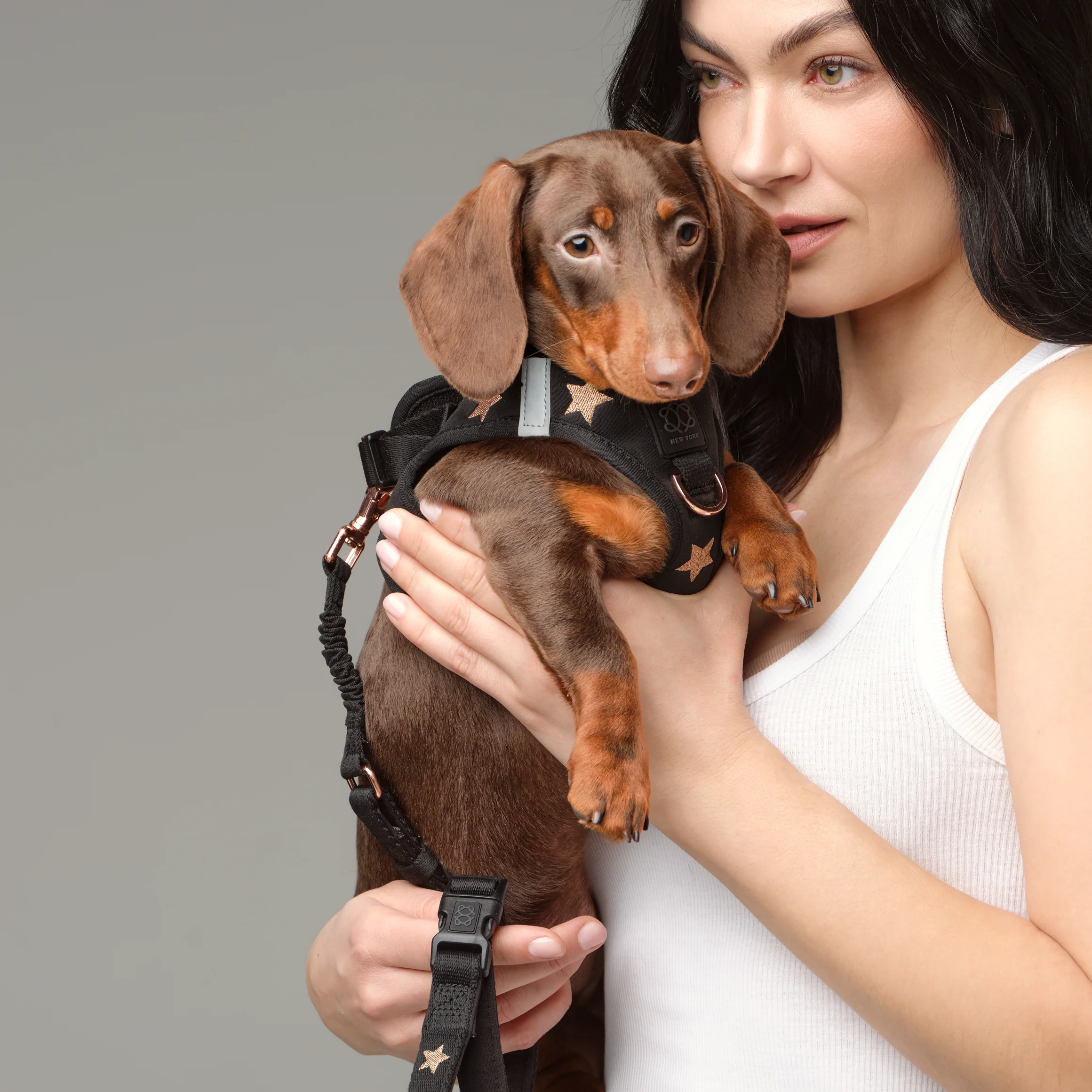 SoHo Dog Harness - Rockstar - Image 10