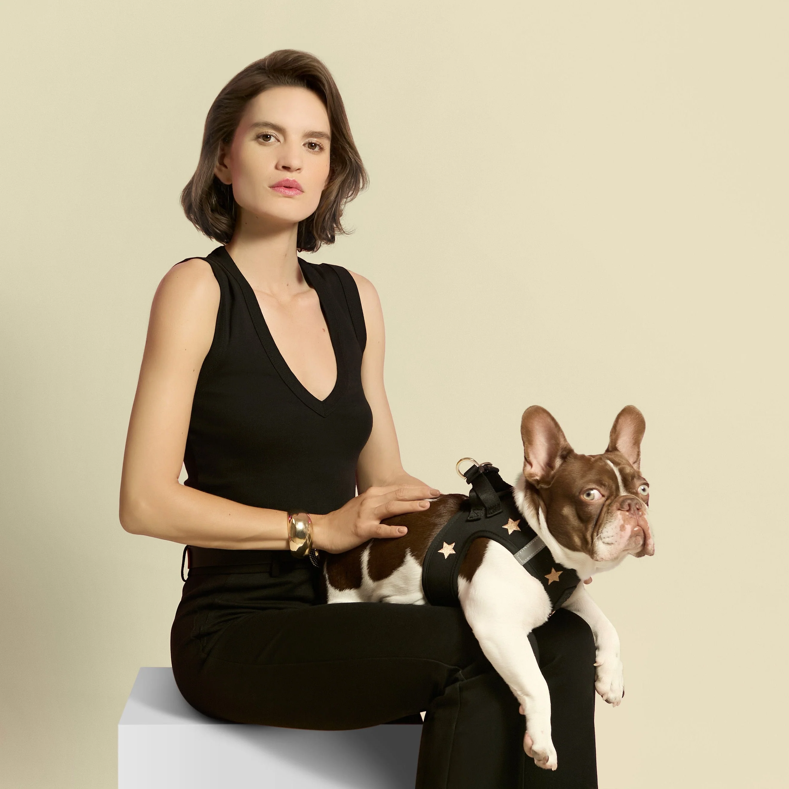 SoHo Dog Harness - Rockstar - Image 6