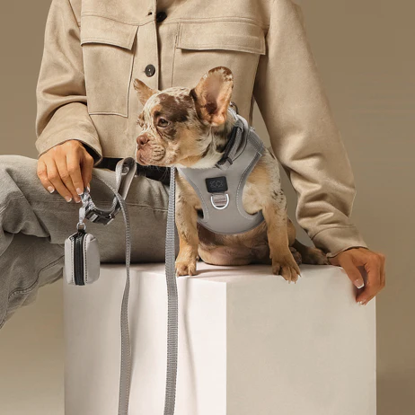 SoHo Dog Harness - Steel - Image 5