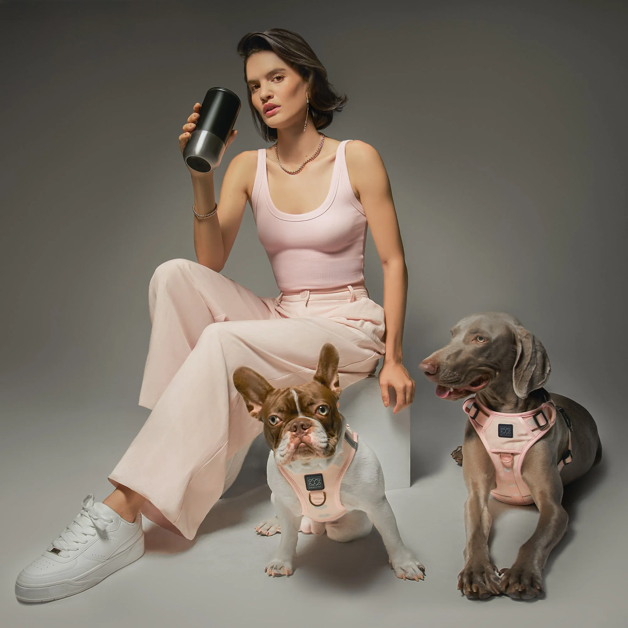 SoHo Dog Harness - Sweetheart - Image 3