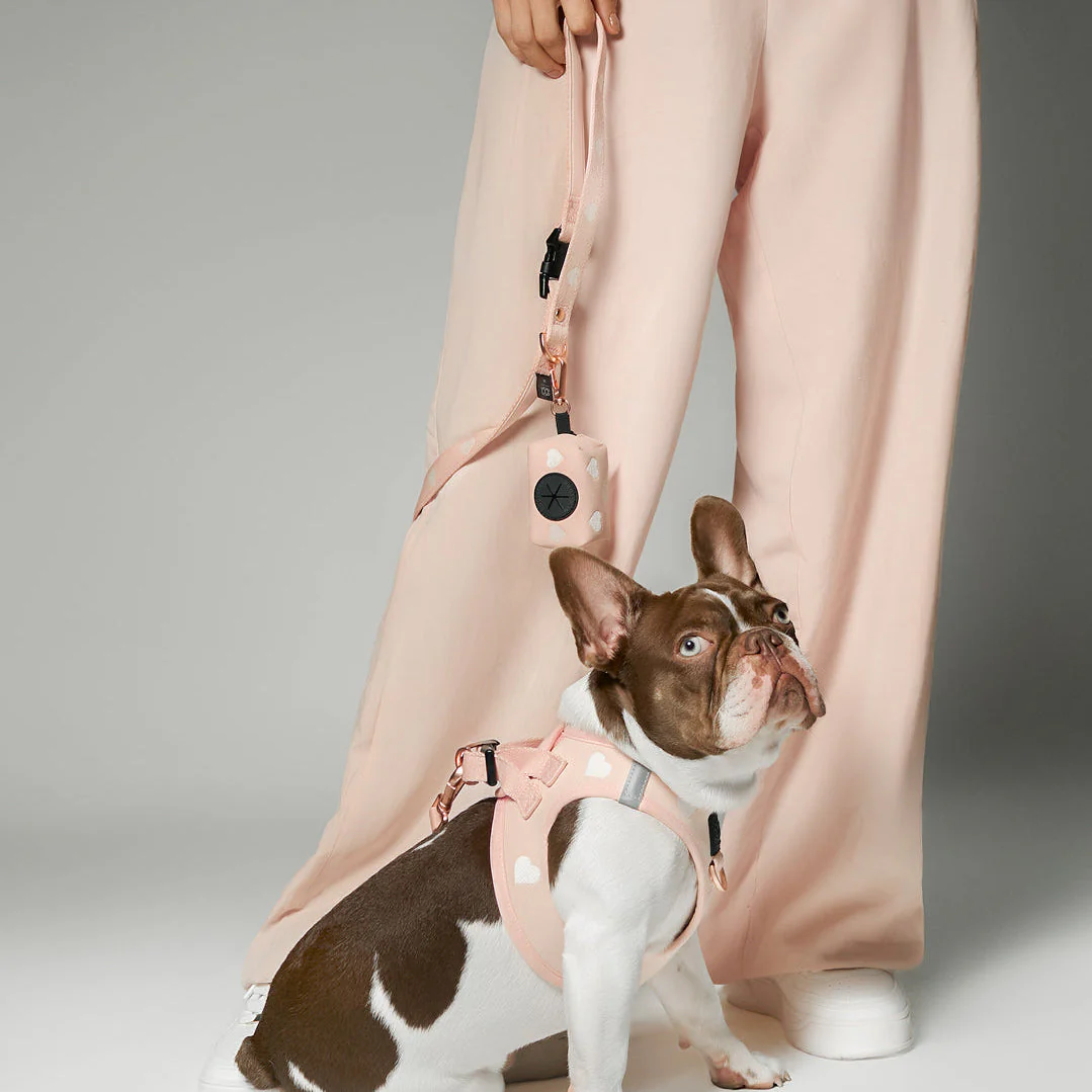 SoHo Dog Harness - Sweetheart - Image 4