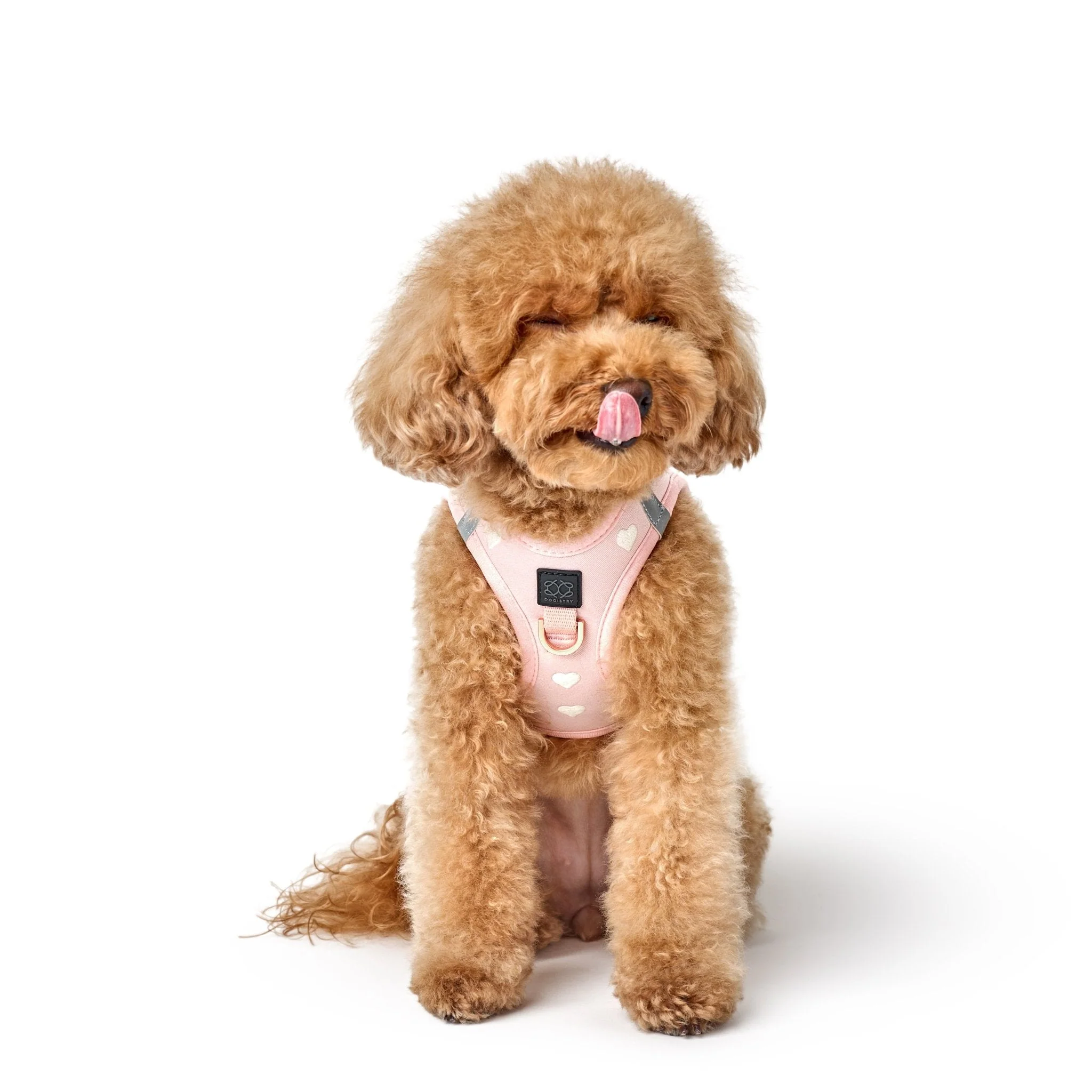 SoHo Dog Harness - Sweetheart - Image 6