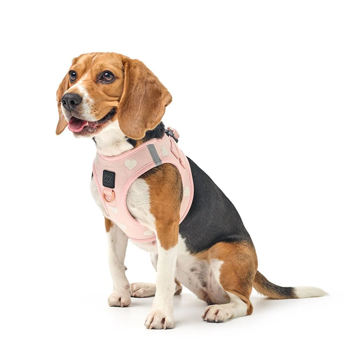 SoHo Dog Harness - Sweetheart - Image 7