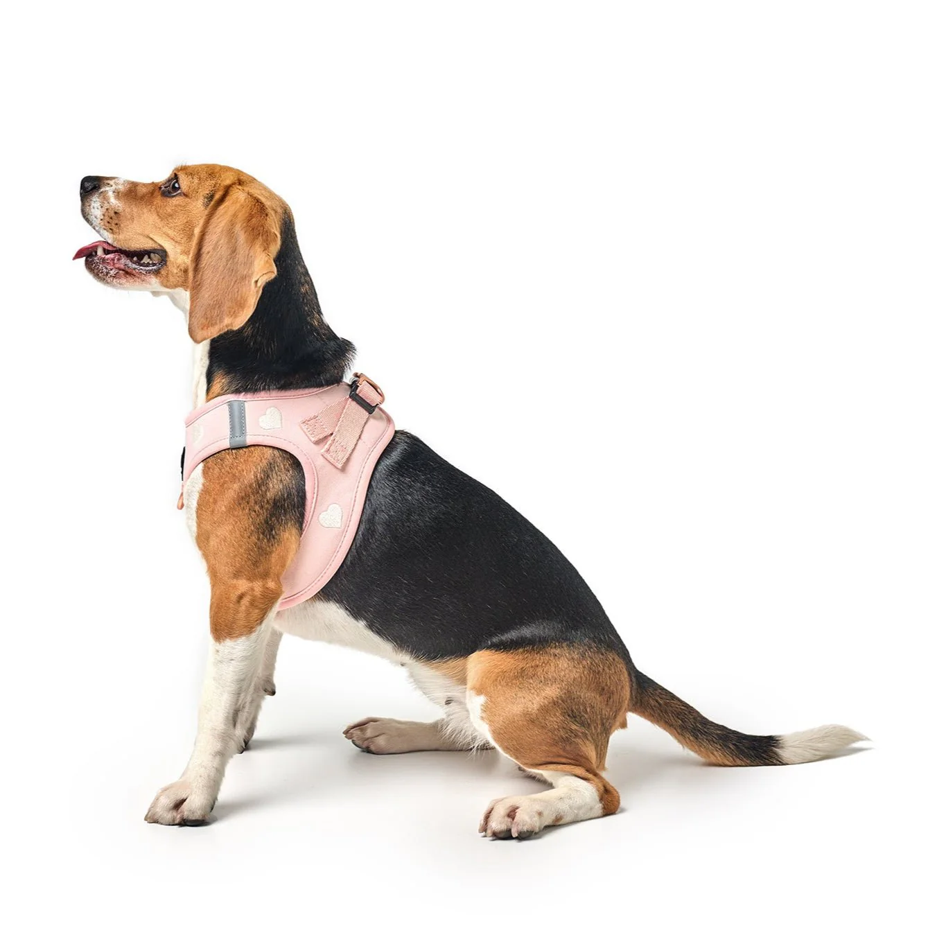 SoHo Dog Harness - Sweetheart - Image 8
