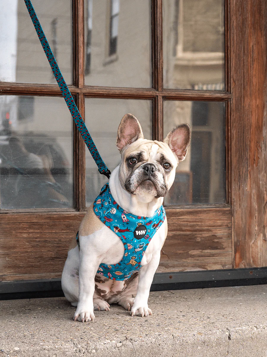 Space Dogs Adjustable Harness - Image 2