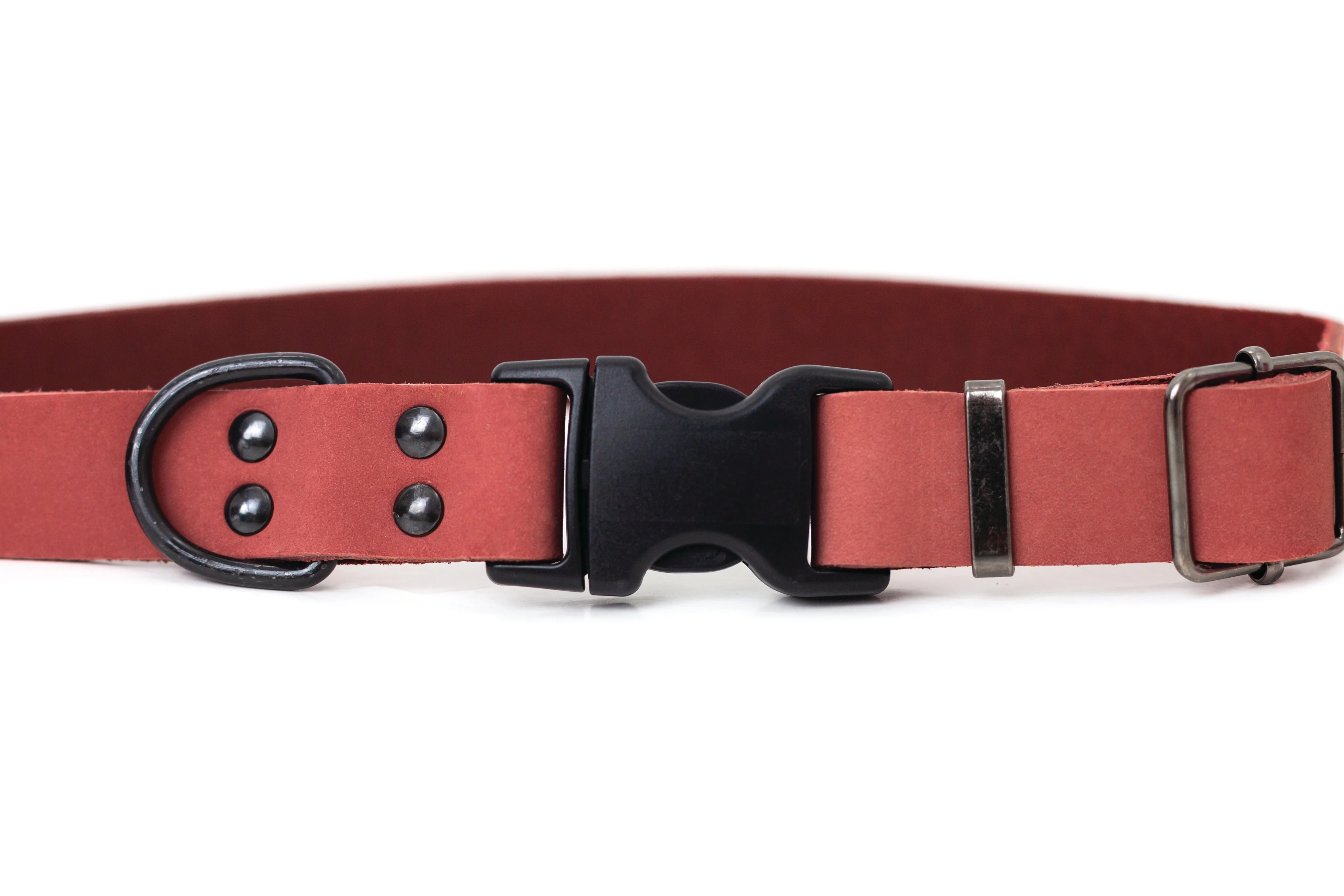 Sport Style Coral Reef Leather Dog Collar - Image 2
