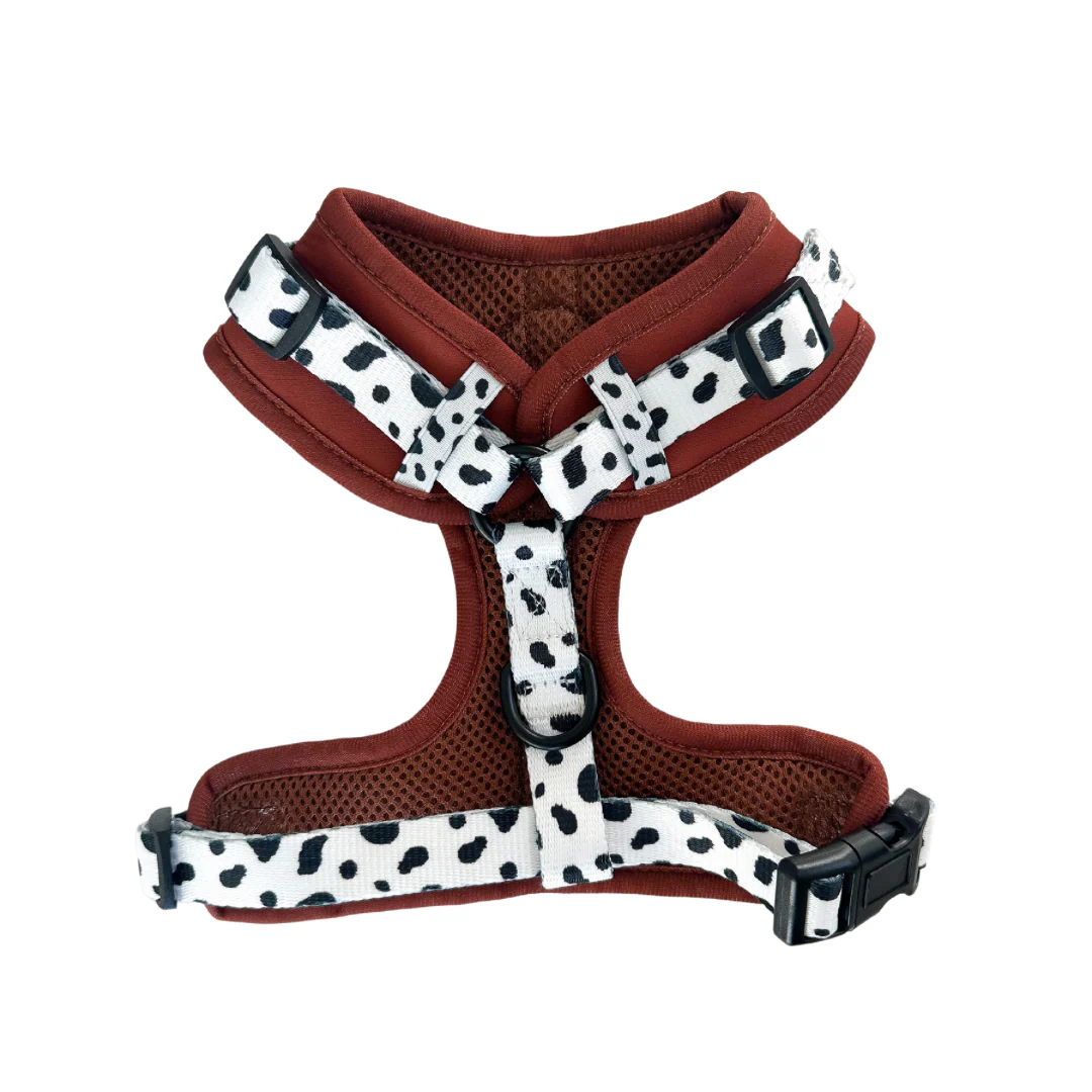Spotted Ember Adjustable Harness - Image 2