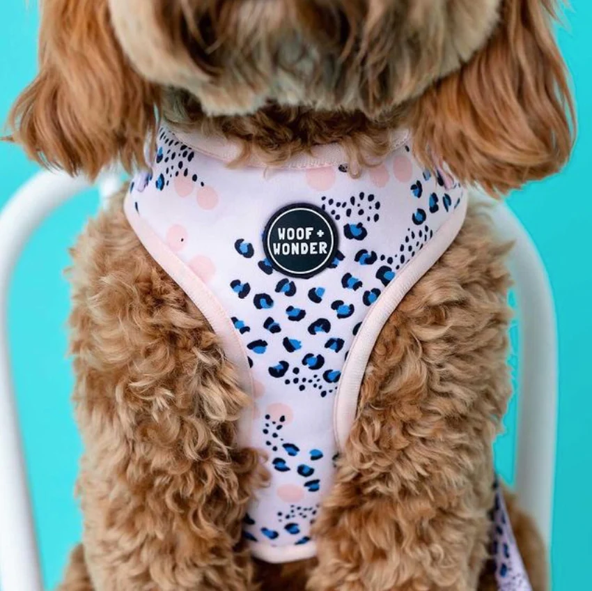 Spotted in the City Adjustable Harness - Image 2