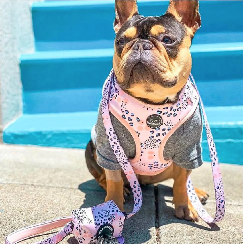 Spotted in the City Adjustable Harness - Image 5