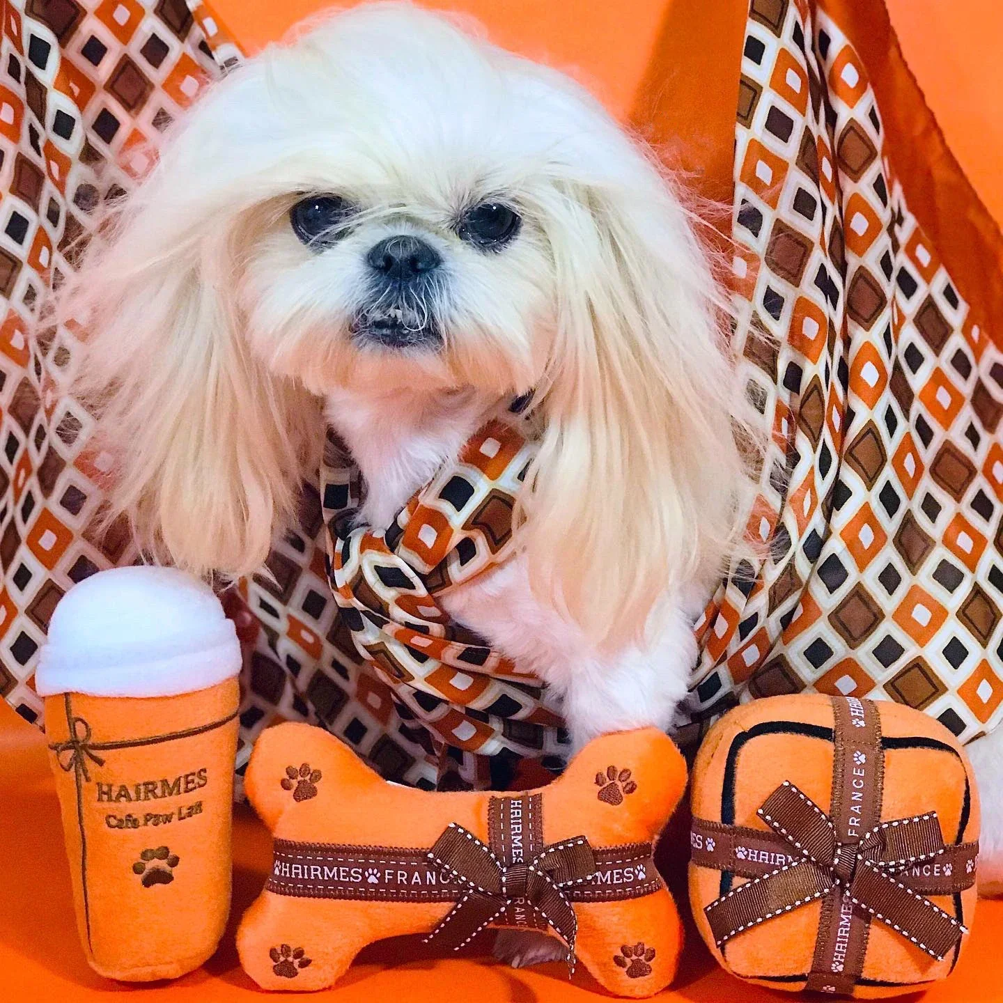 Squeak Plush Toy for Dog, Bone Cup, Chew Toy, Unique Design, Luxury Brand, Fashion Design, Passion for Pet Supplies - Image 5