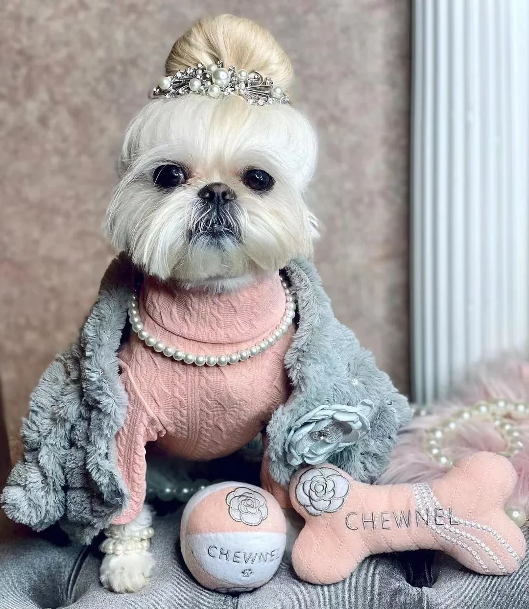 Squeak Plush Toy for Dog, Bone Cup, Chew Toy, Unique Design, Luxury Brand, Fashion Design, Passion for Pet Supplies - Image 8