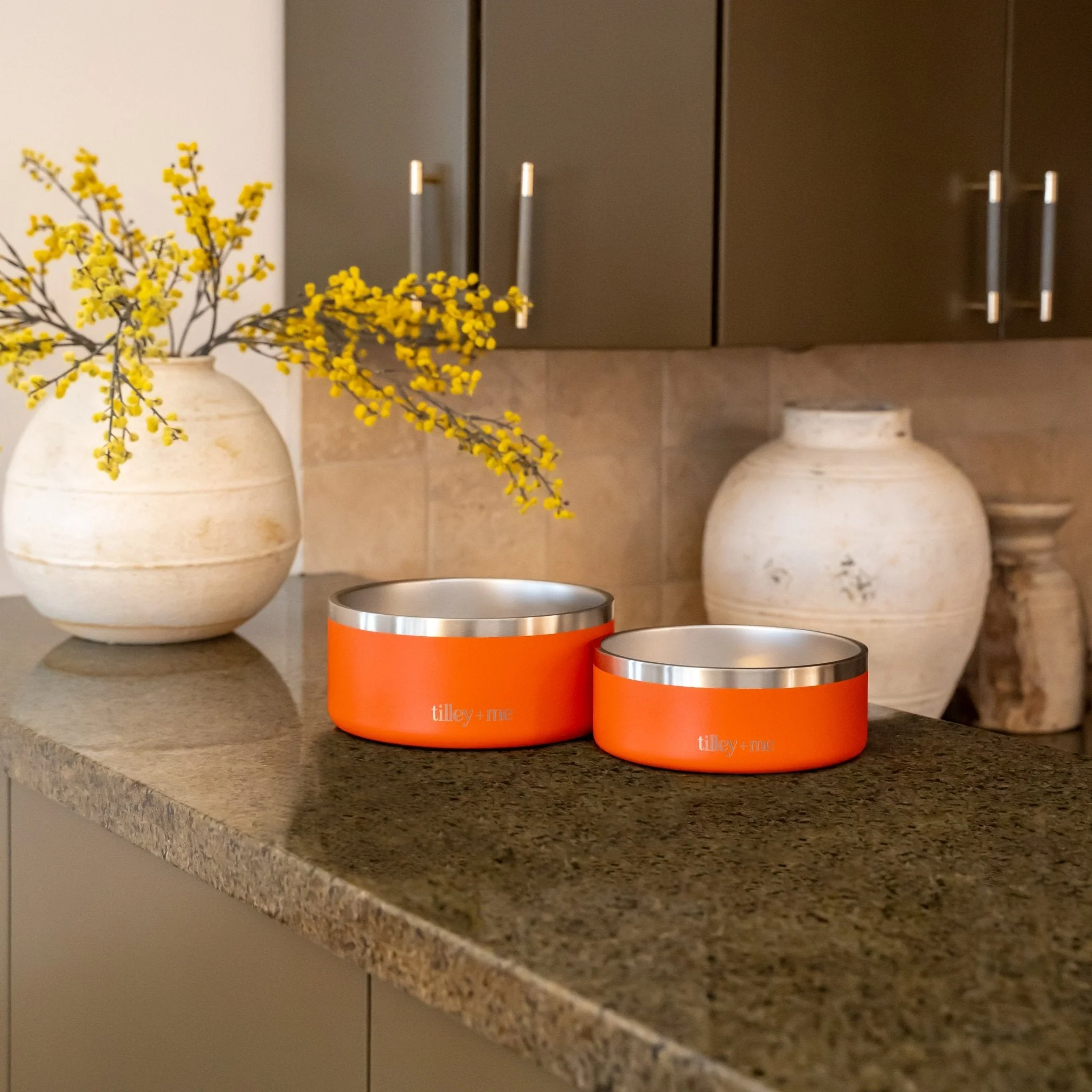 Tilley + Me Stainless Steel Pet Bowl – Non-Slip, Durable & Dishwasher Safe | 32oz and 64oz - Image 21