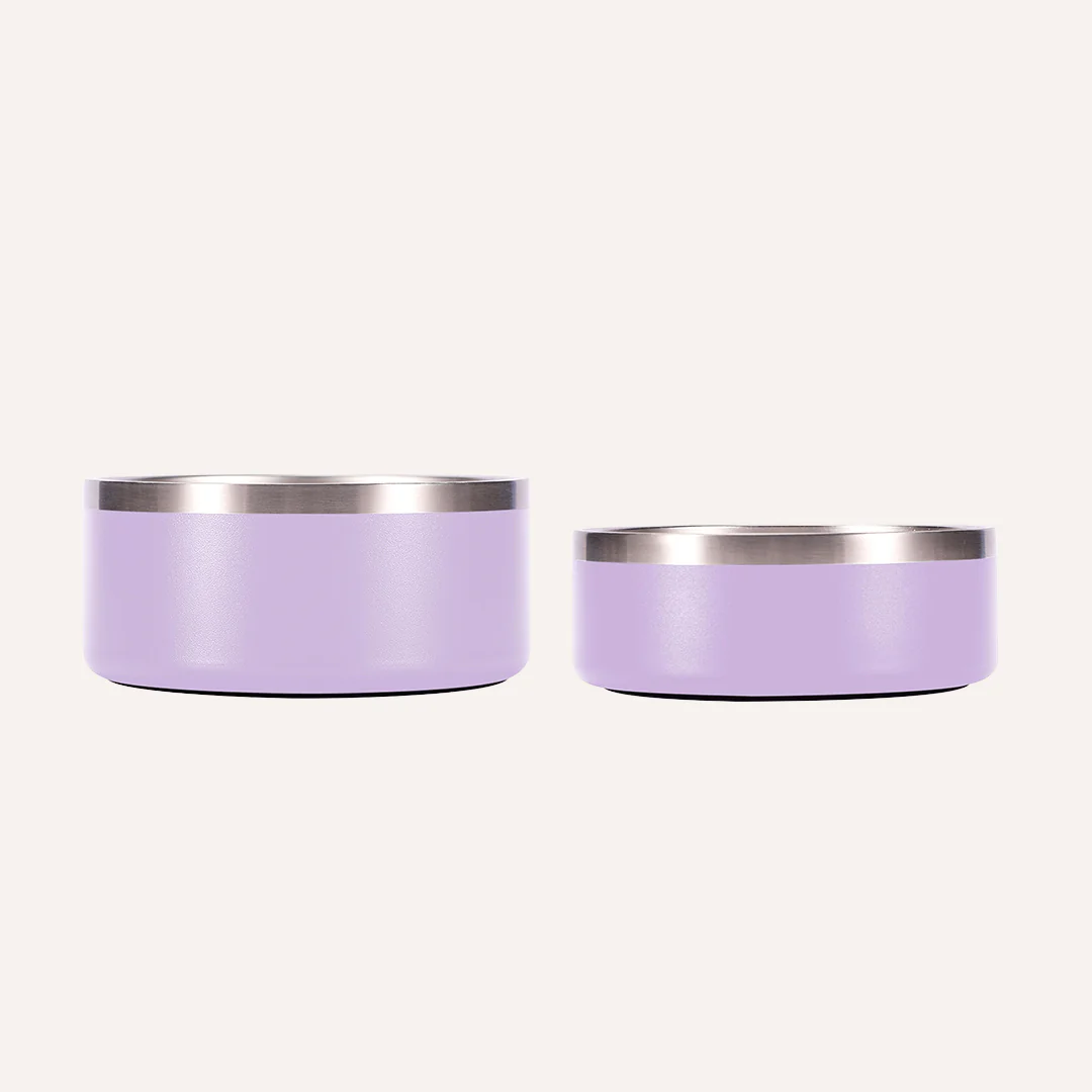 Tilley + Me Stainless Steel Pet Bowl – Non-Slip, Durable & Dishwasher Safe | 32oz and 64oz - Image 25