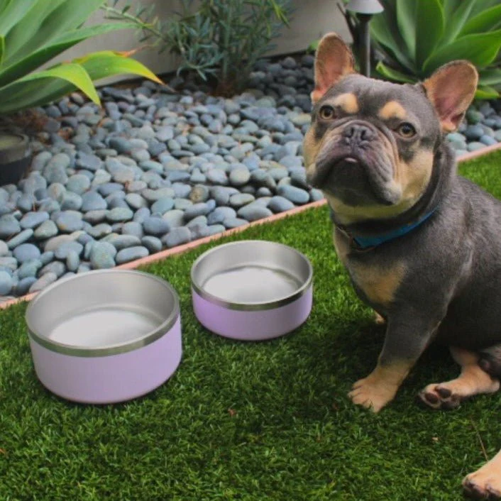 Tilley + Me Stainless Steel Pet Bowl – Non-Slip, Durable & Dishwasher Safe | 32oz and 64oz - Image 26