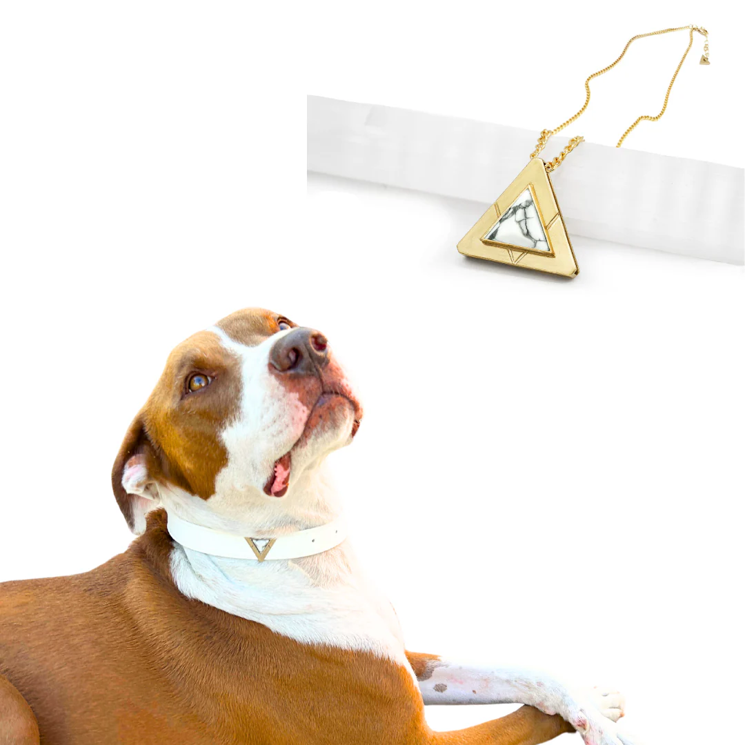 Starlight Howl Match Your Pet Gift Box Set - Image 3