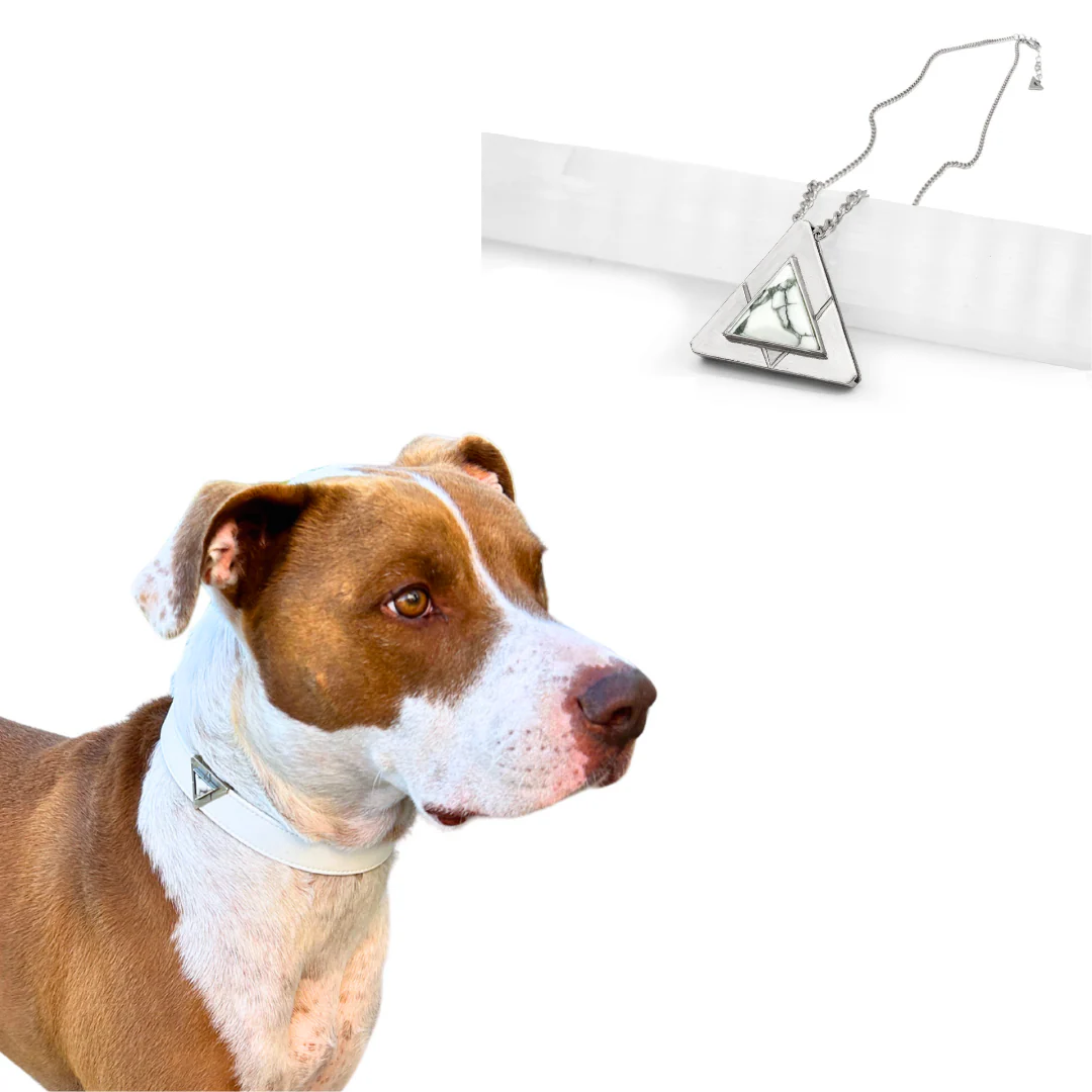 Starlight Howl Match Your Pet Gift Box Set - Image 4