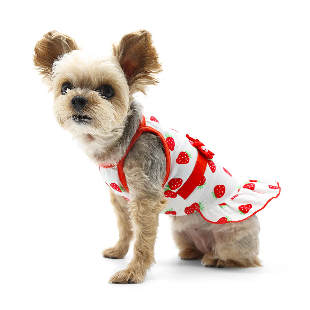 Strawberry Dress - Image 2