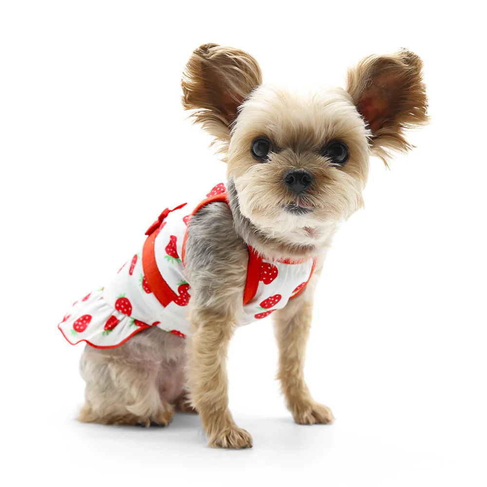 Strawberry Dress - Image 3