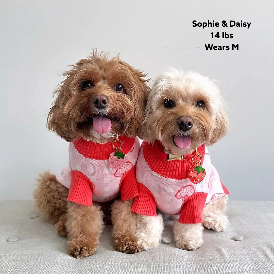 Strawberry Knitted Dog Sweater - Image 5