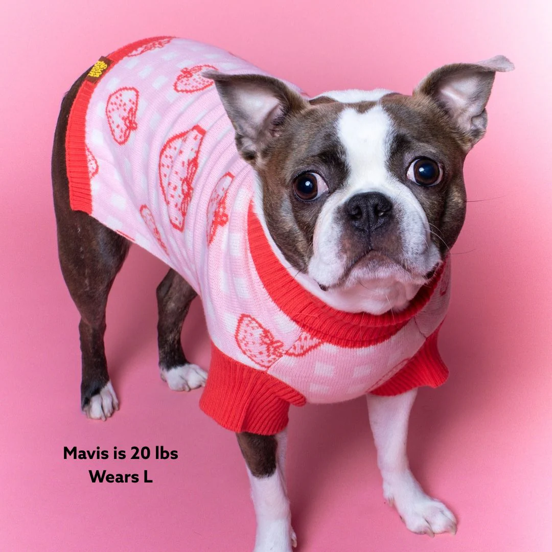 Strawberry Knitted Dog Sweater - Image 6