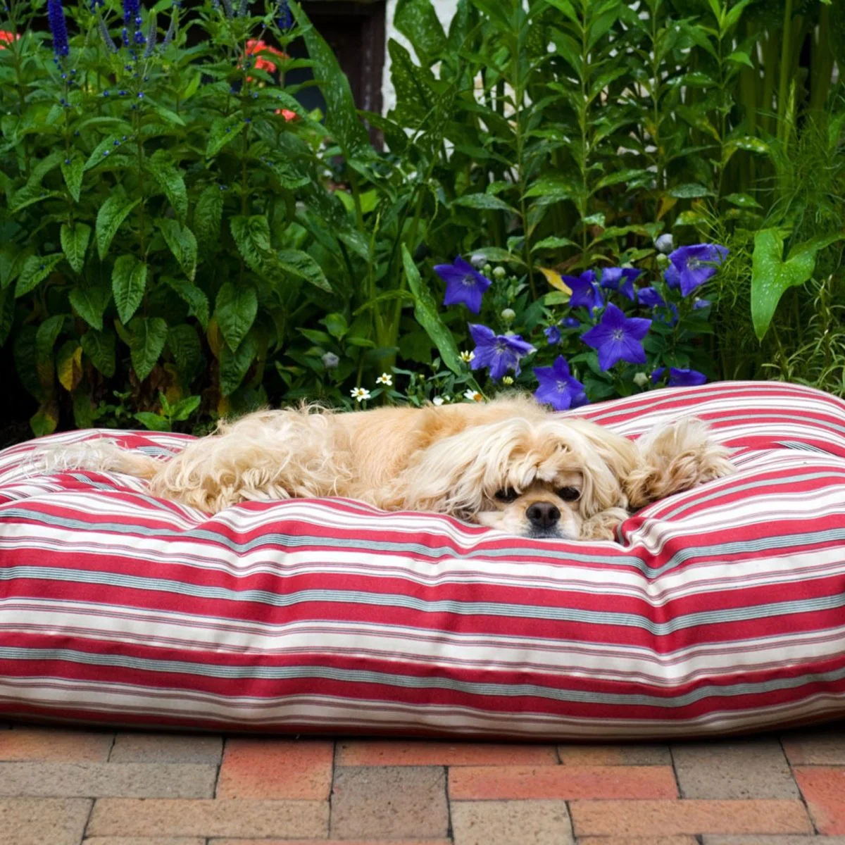 Striped Jamison Indoor Outdoor Dog Bed - Image 4