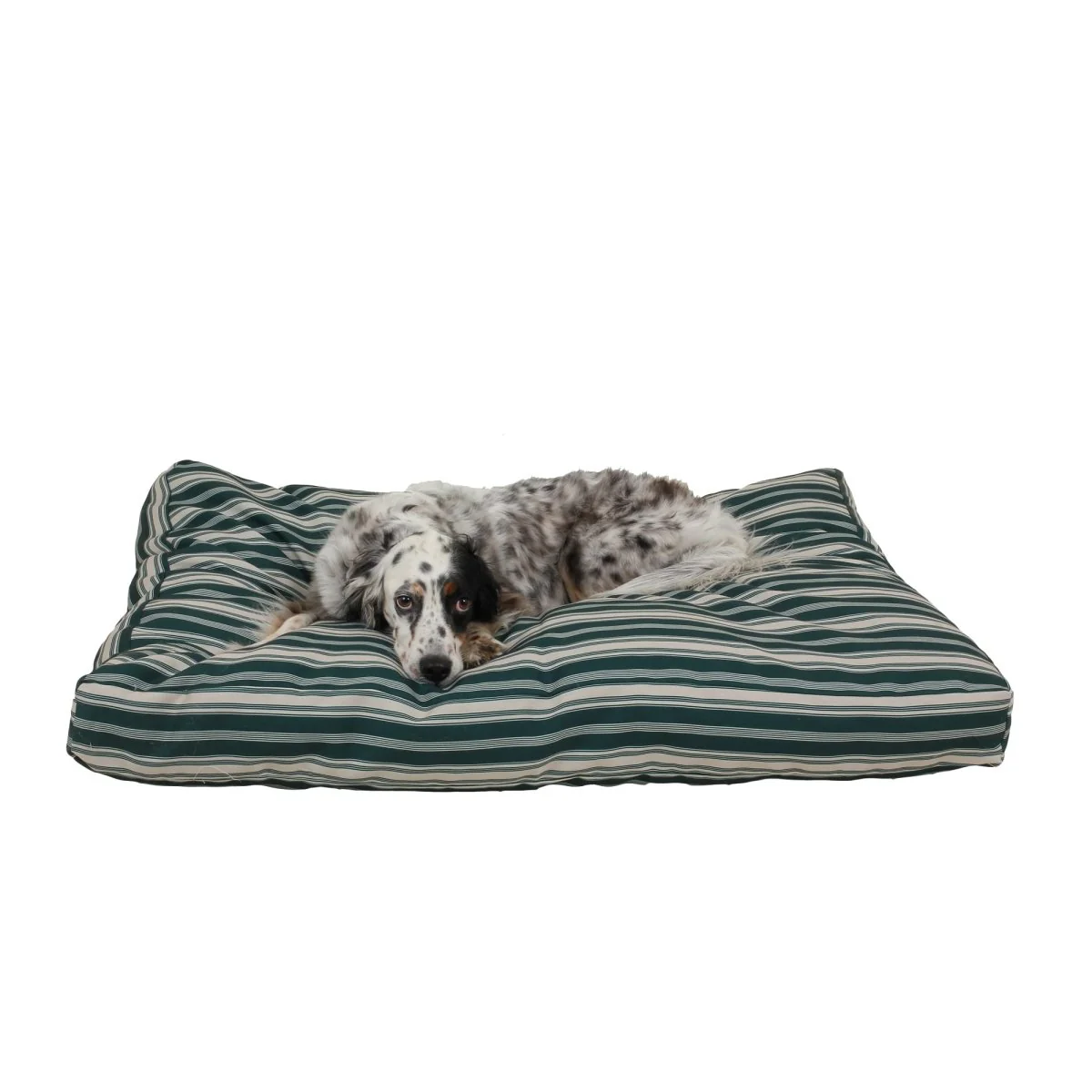 Striped Jamison Indoor Outdoor Dog Bed - Image 5