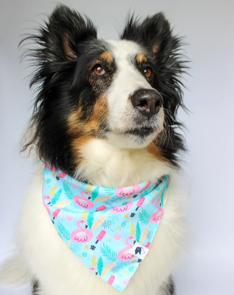 Summer Beach Dog Bandana - Image 3