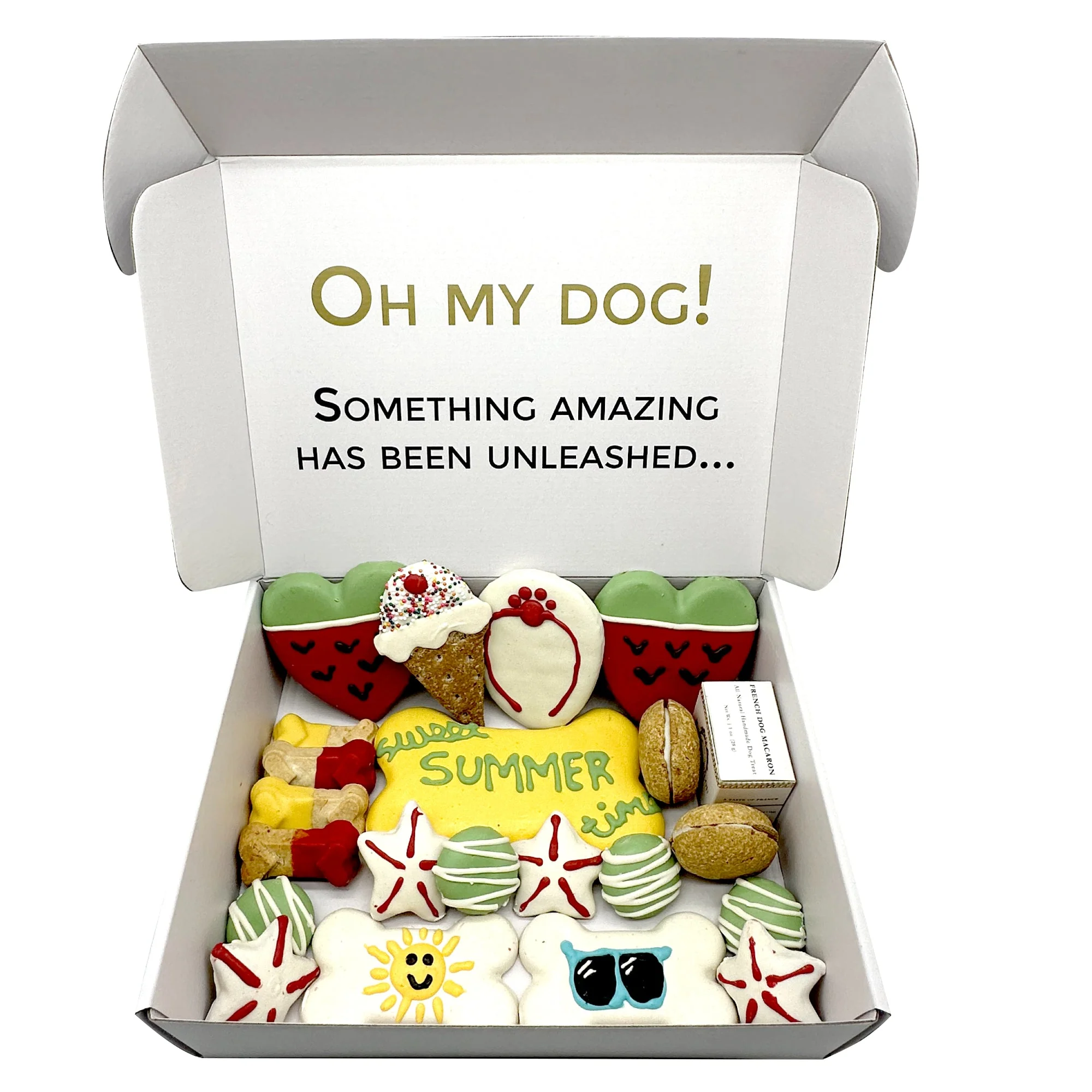 Summer Themed Dog Treats Gift Box - Image 3
