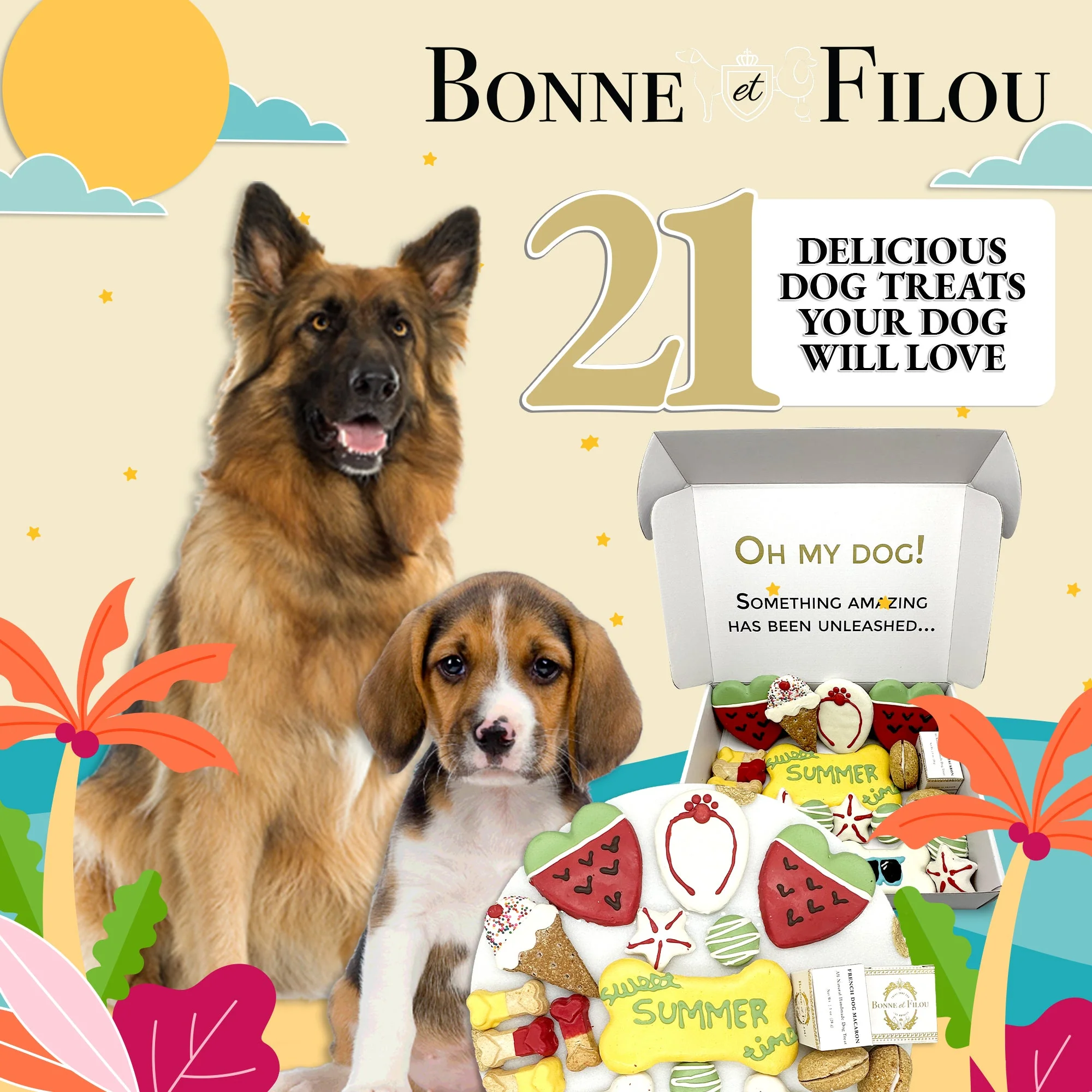 Summer Themed Dog Treats Gift Box - Image 6
