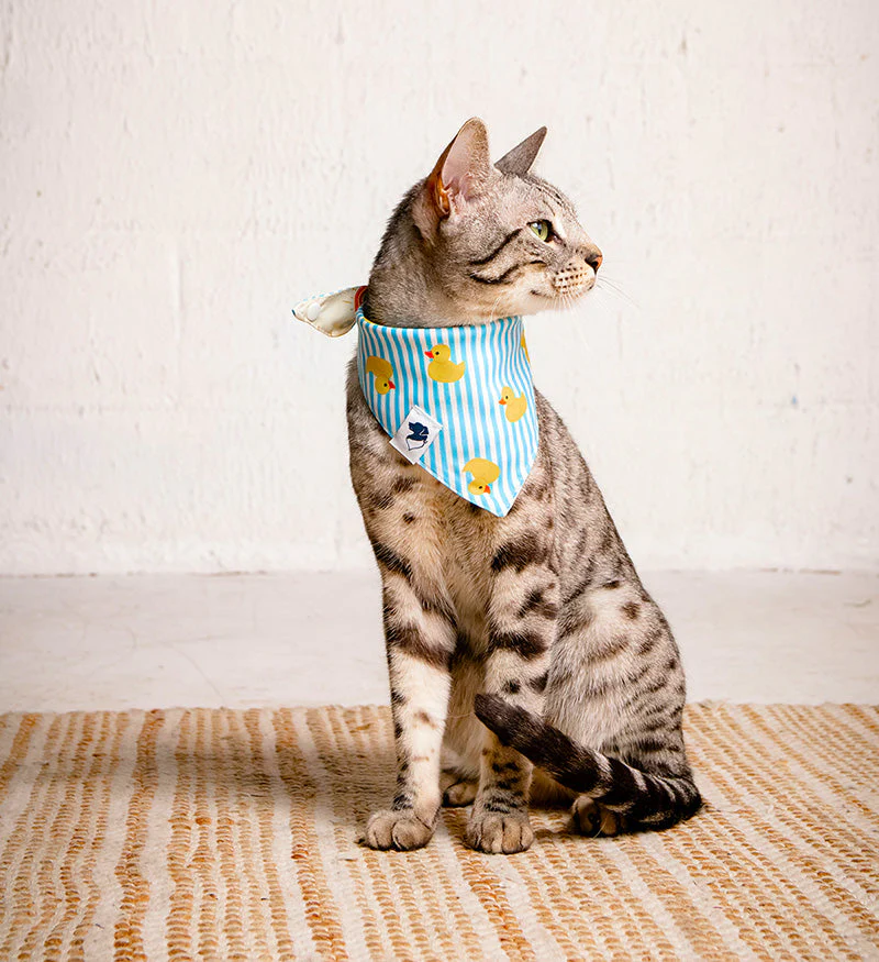 Sunny Side Dog Bandana - Image 6