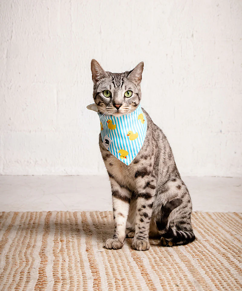 Sunny Side Dog Bandana - Image 7