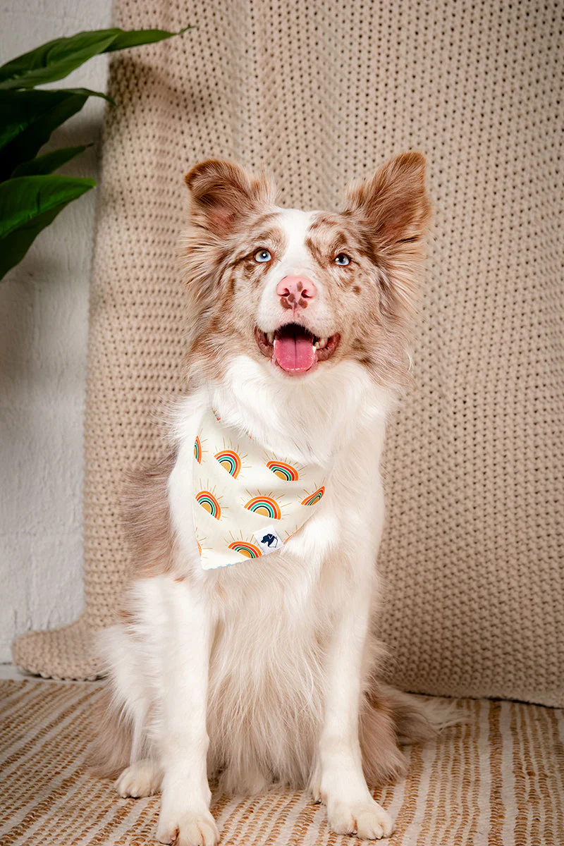 Sunny Side Dog Bandana - Image 8